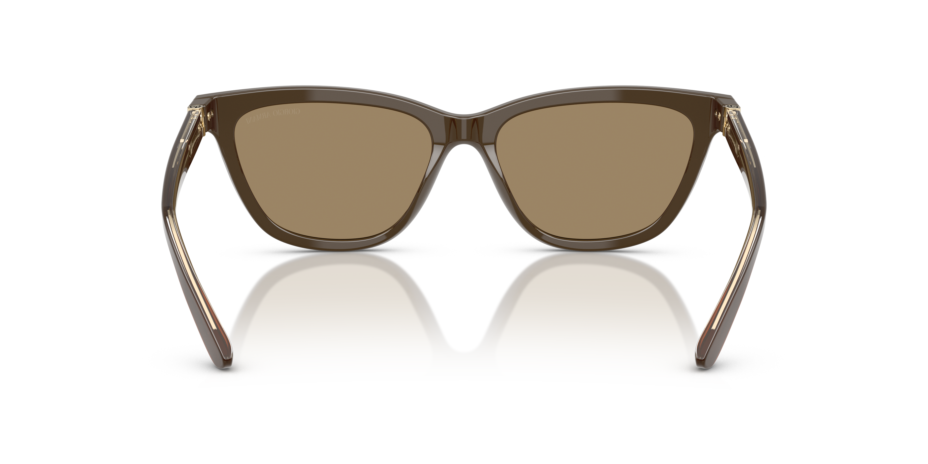 GIORGIO ARMANI AR8221 595753 55