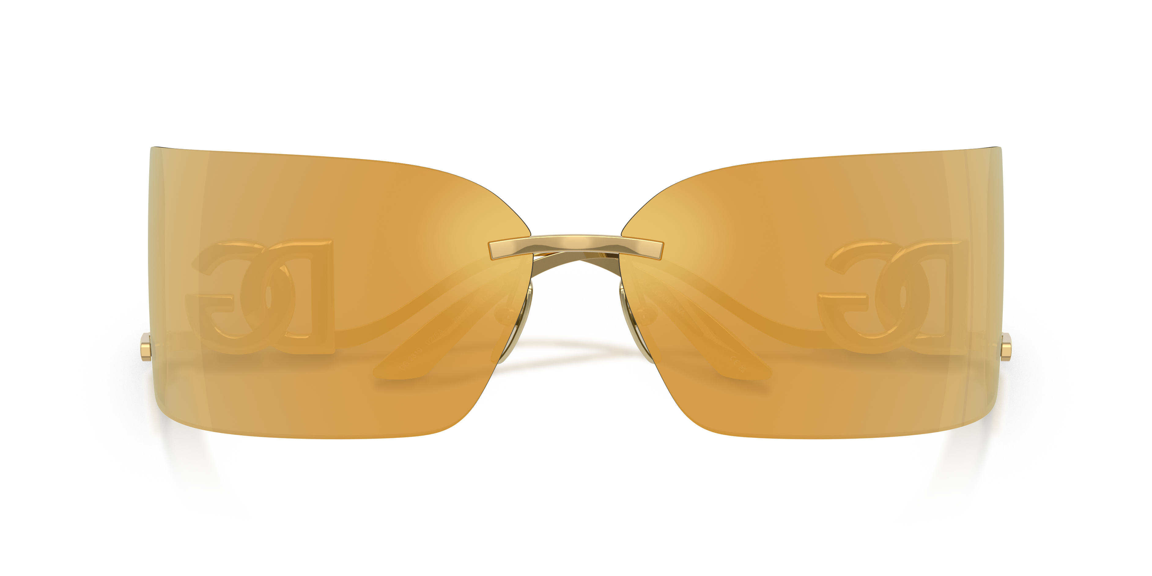 DOLCE & GABBANA DG2319 02/5A 79