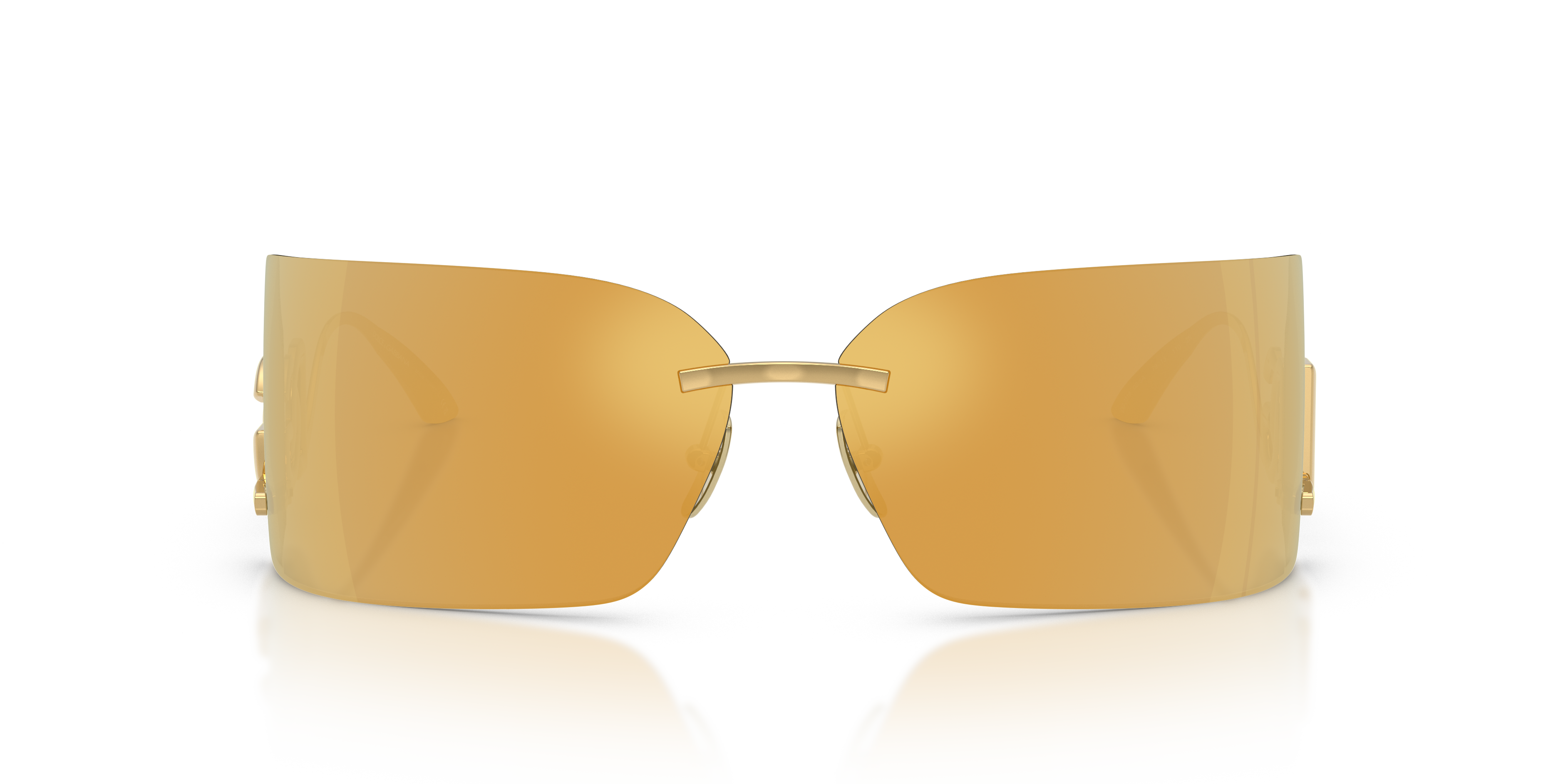 DOLCE & GABBANA DG2319 02/5A 79