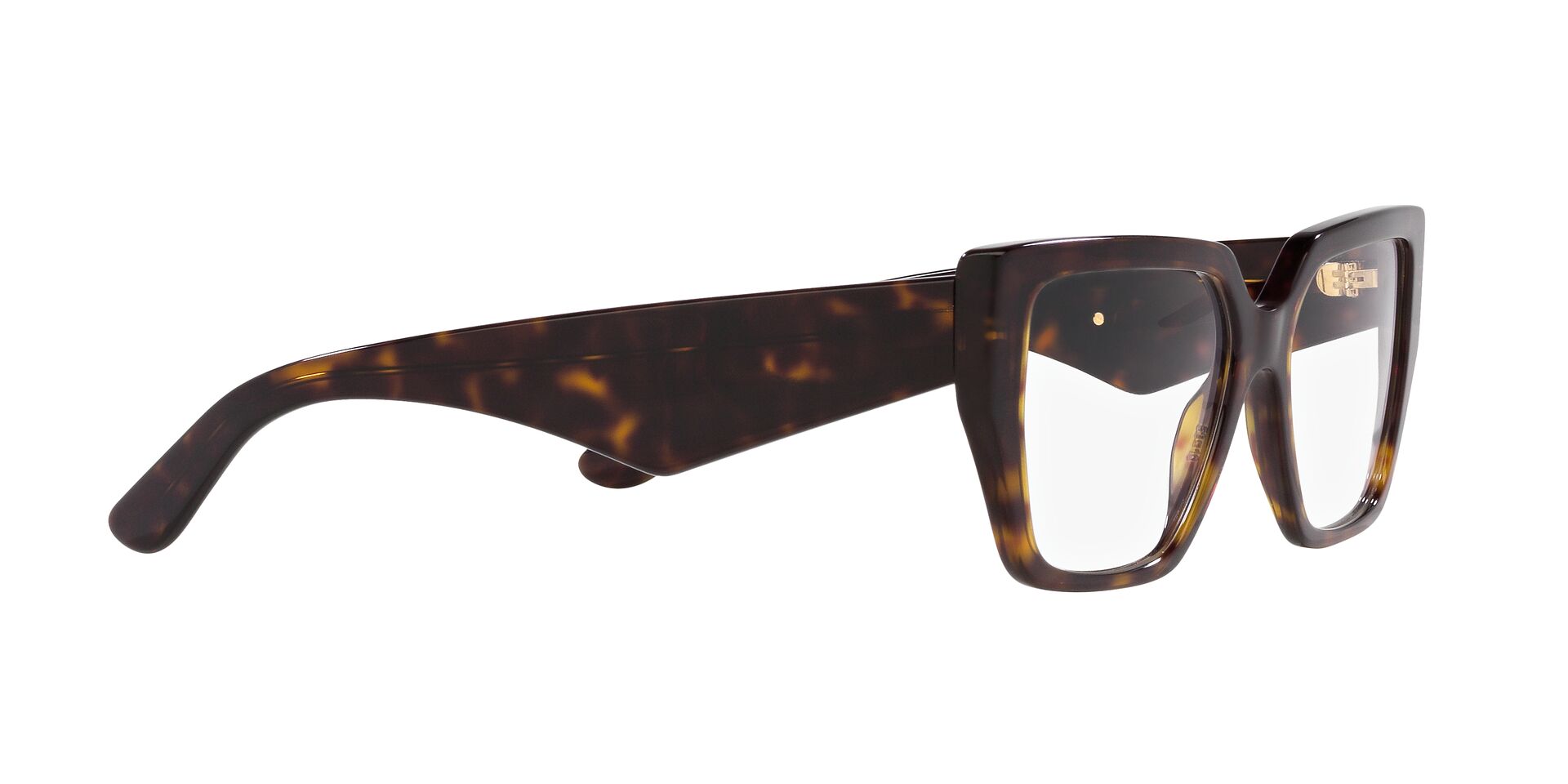 DOLCE & GABBANA DG3373 502 55