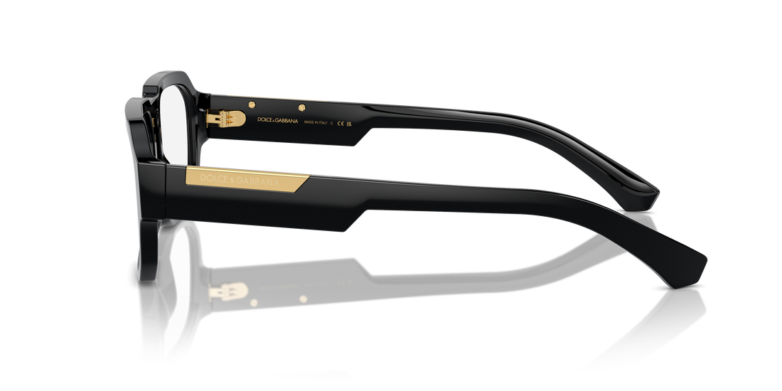 DOLCE & GABBANA DG3389 501 55