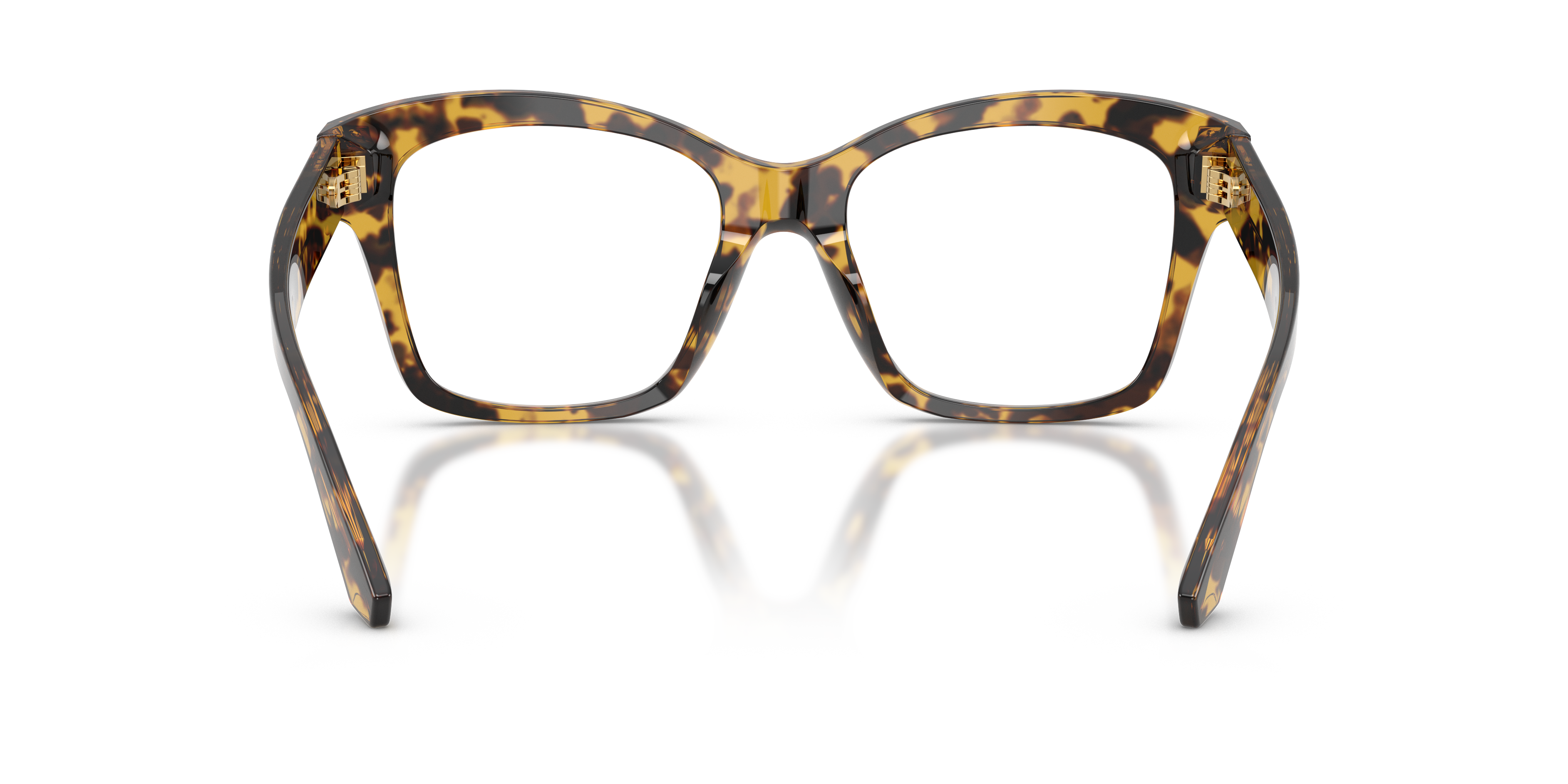 DOLCE & GABBANA DG3419 3330 54