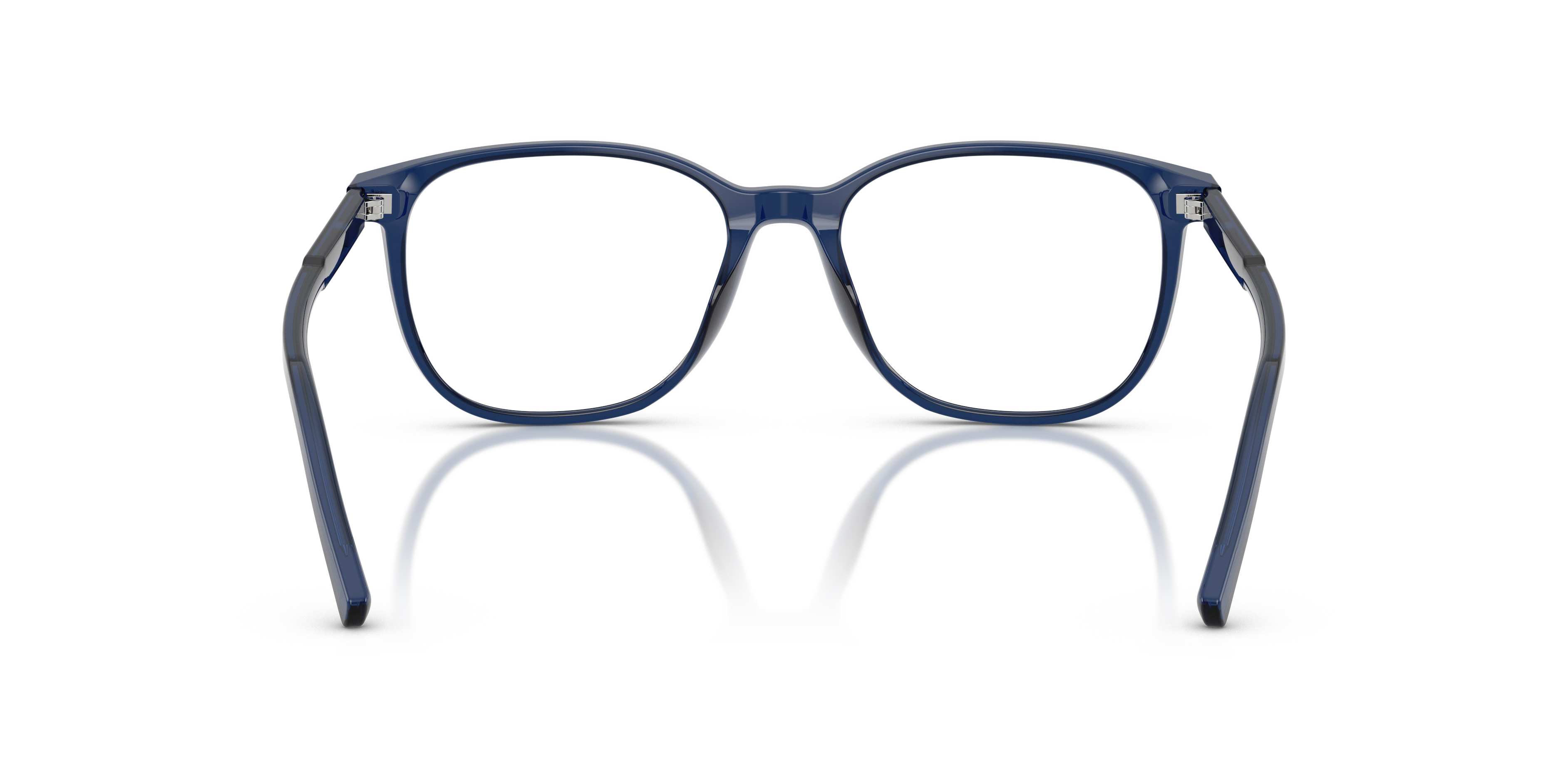 DOLCE & GABBANA DG3426 3009 51