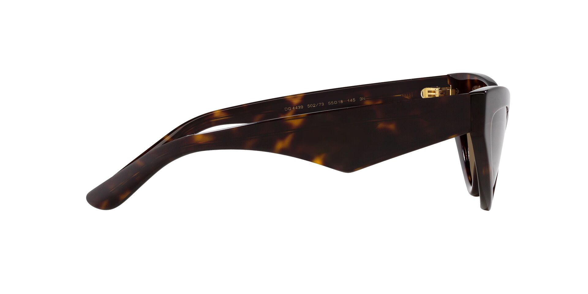 DOLCE & GABBANA DG4439 502/73 55