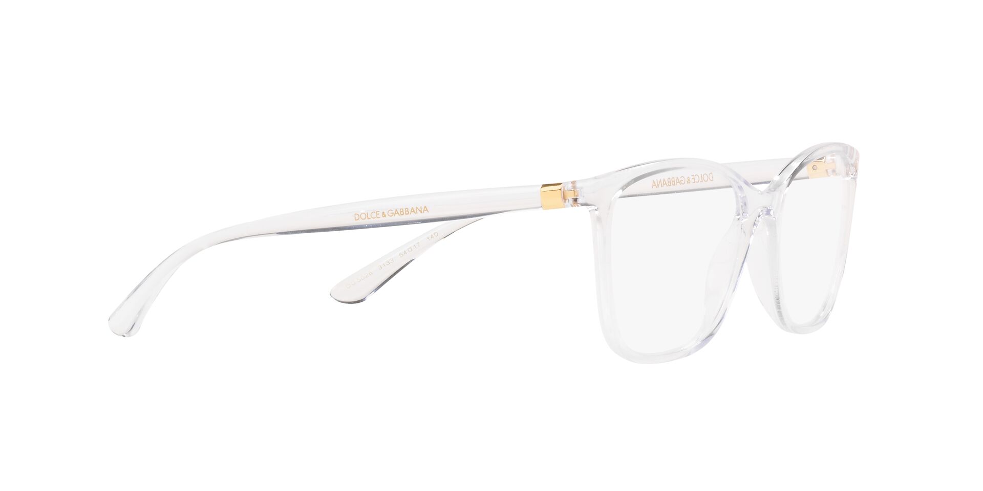 DOLCE & GABBANA DG5026 3133 54