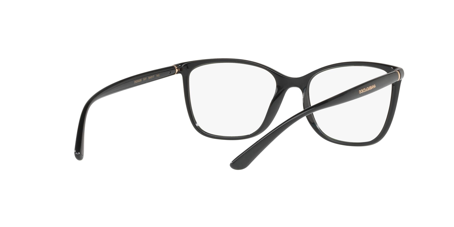 DOLCE & GABBANA DG5026 501 54