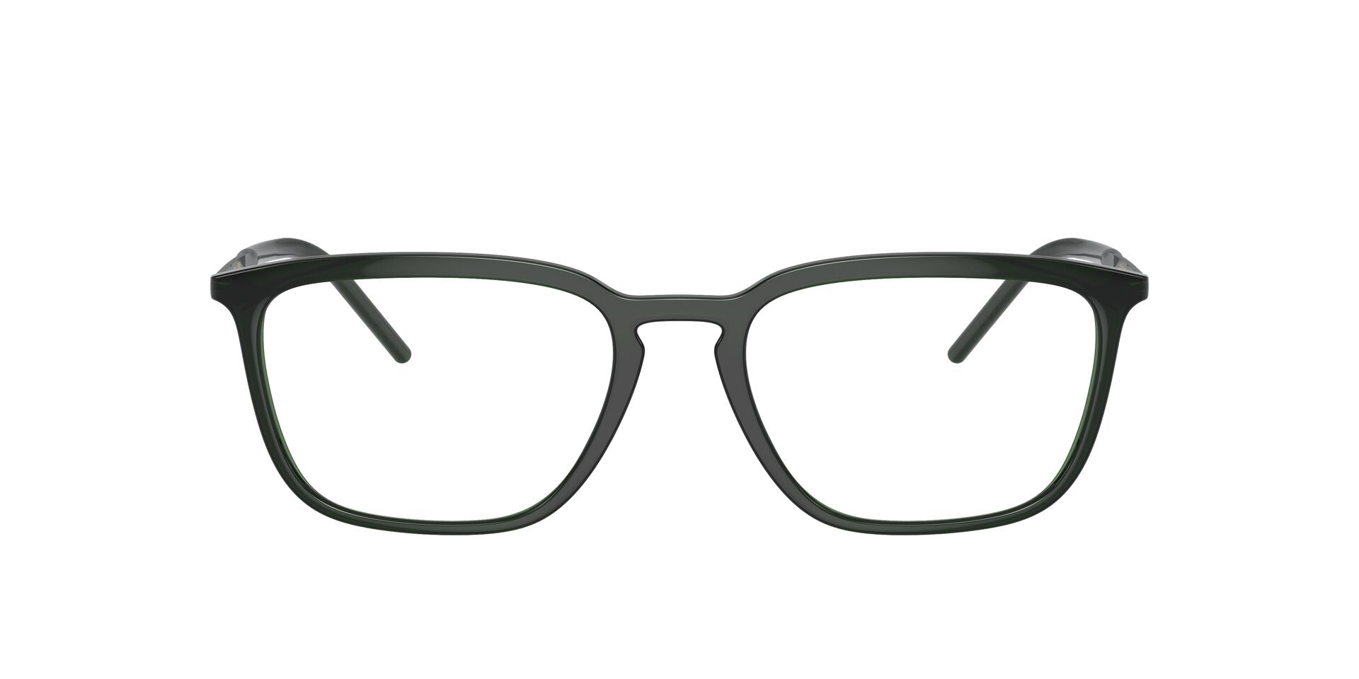 DOLCE & GABBANA DG5098 3008 54