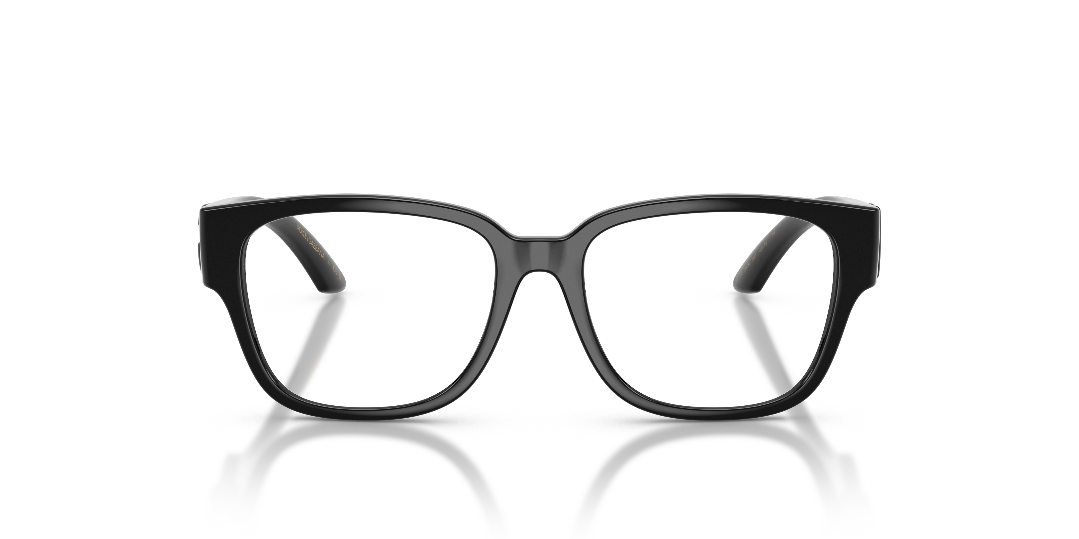 DOLCE & GABBANA DX5006 501 49