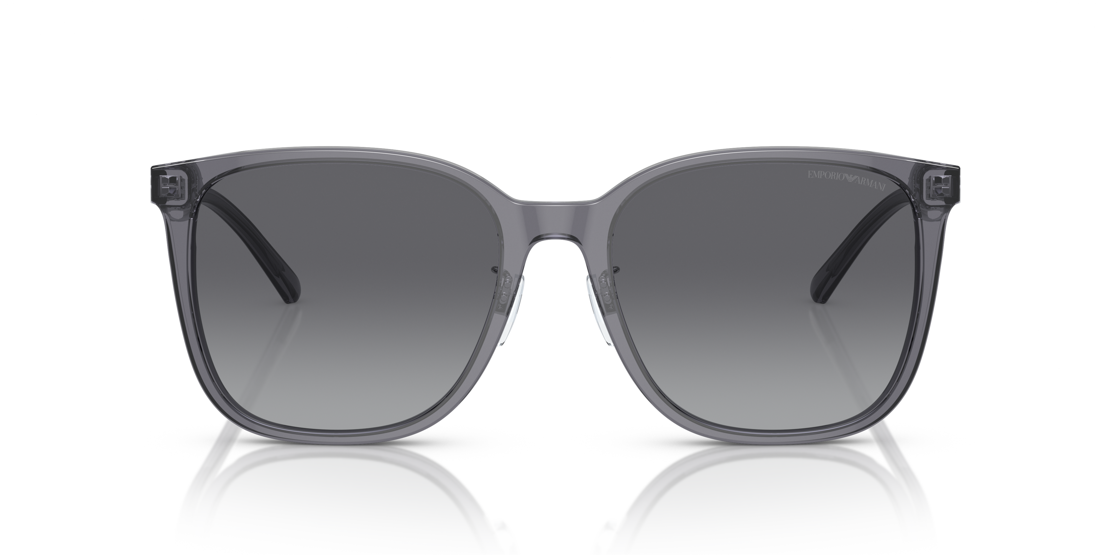 EMPORIO ARMANI EA4206D 5029T3 57