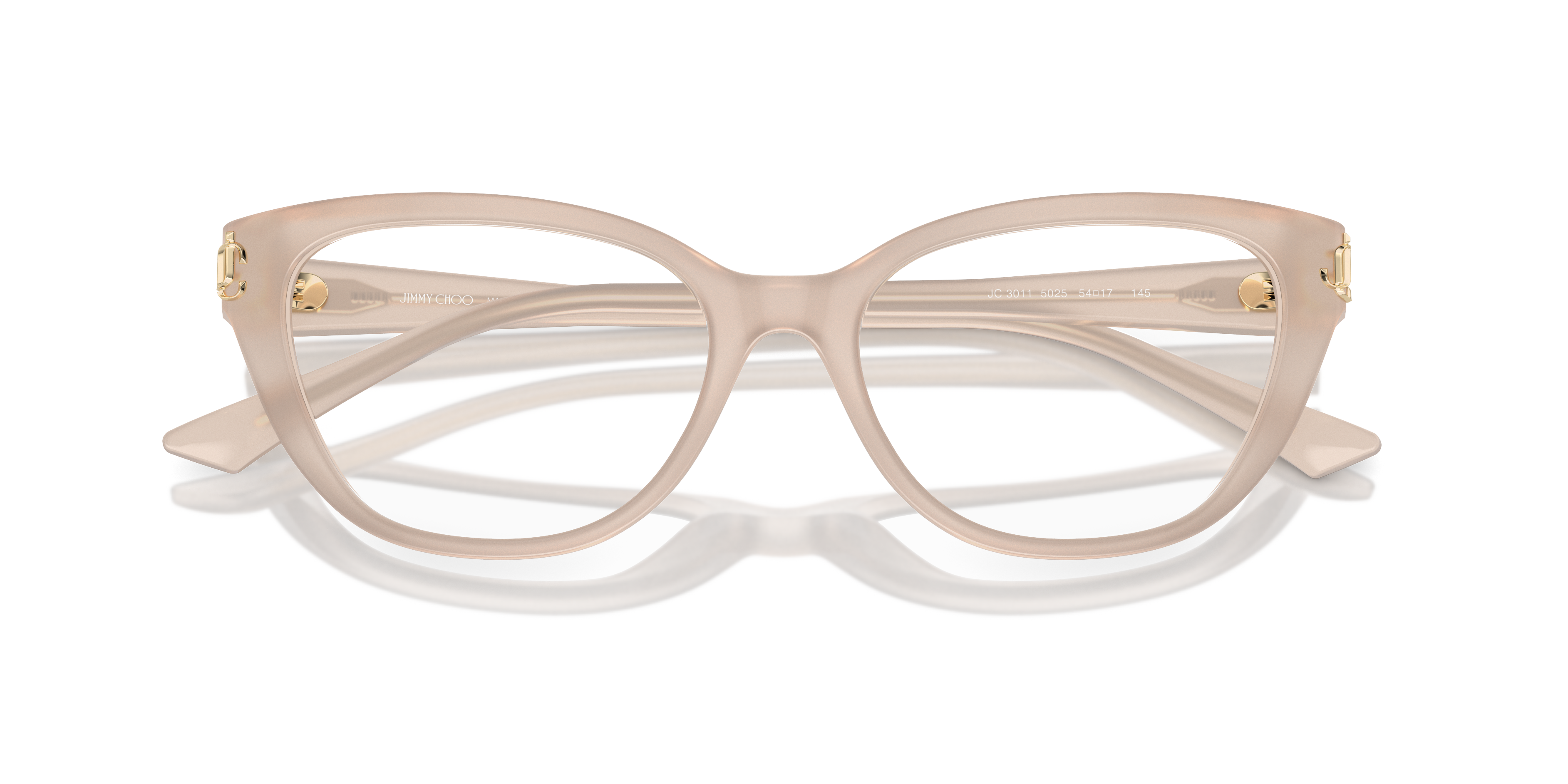 JIMMY CHOO JC3011 5025 52