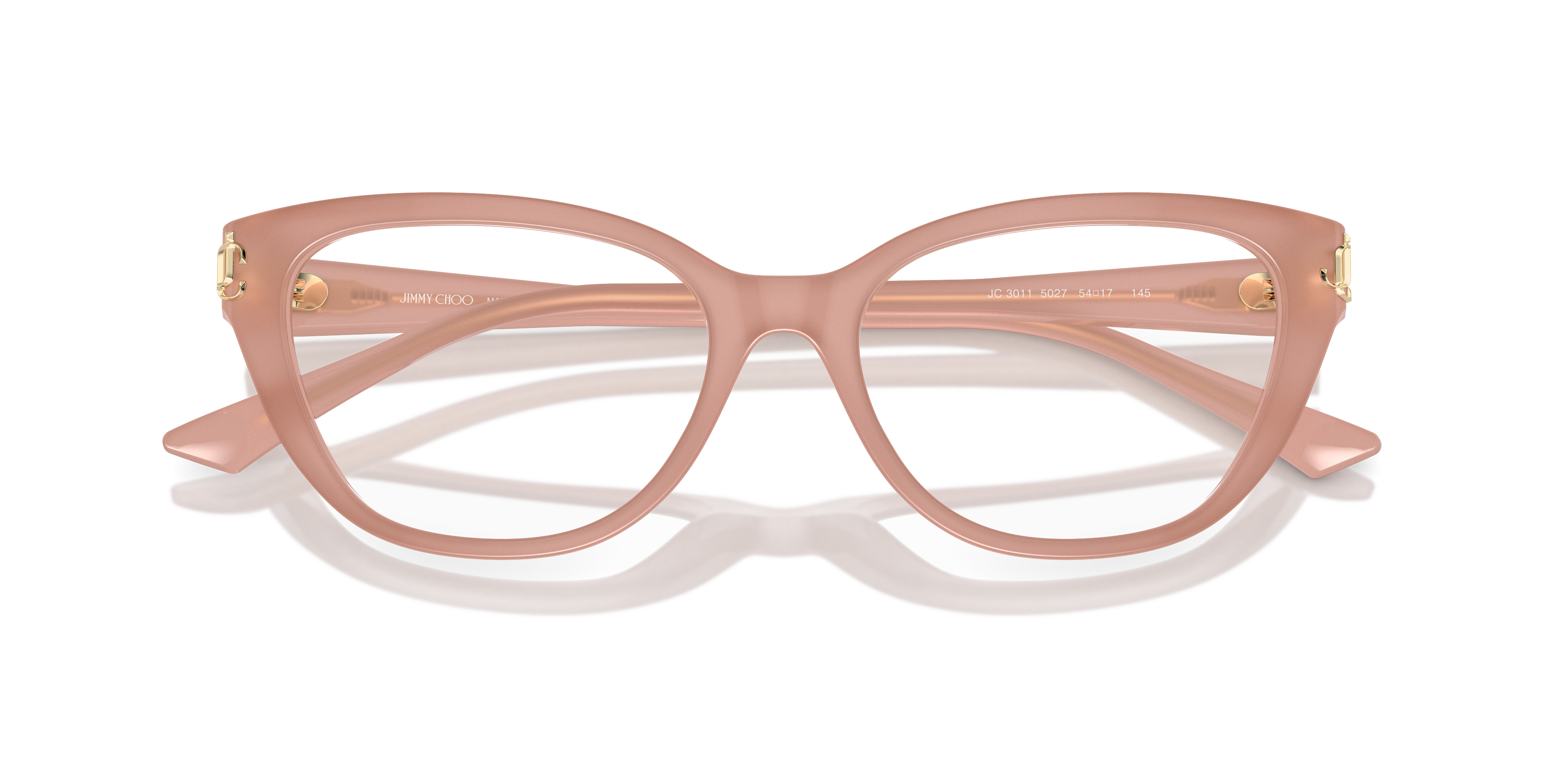 JIMMY CHOO JC3011 5027 54