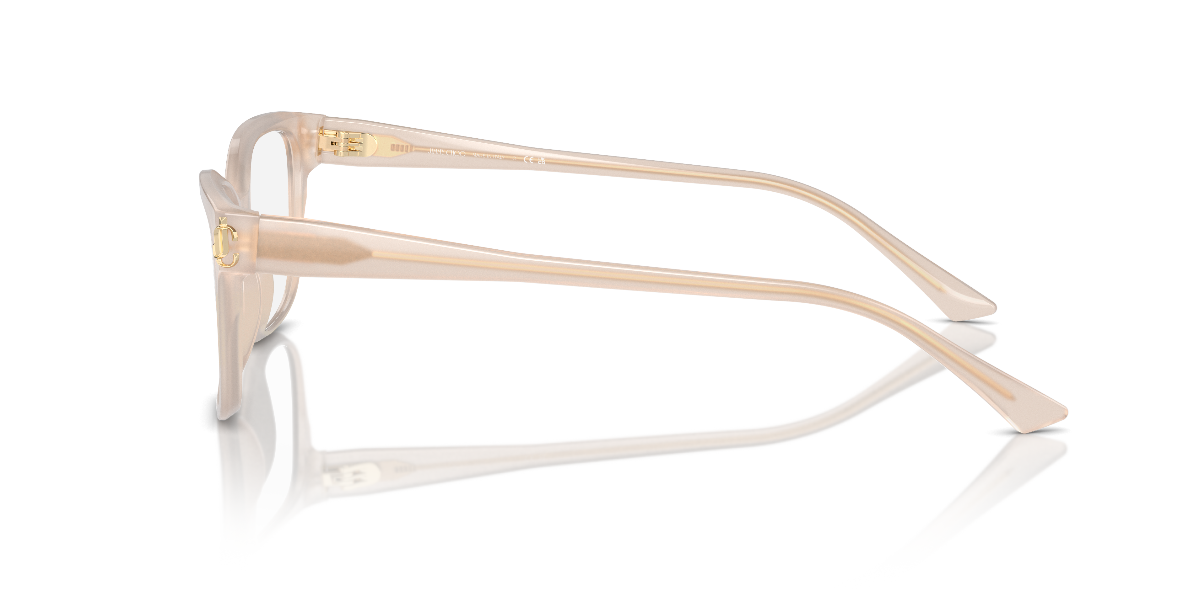 JIMMY CHOO JC3012 5025 55