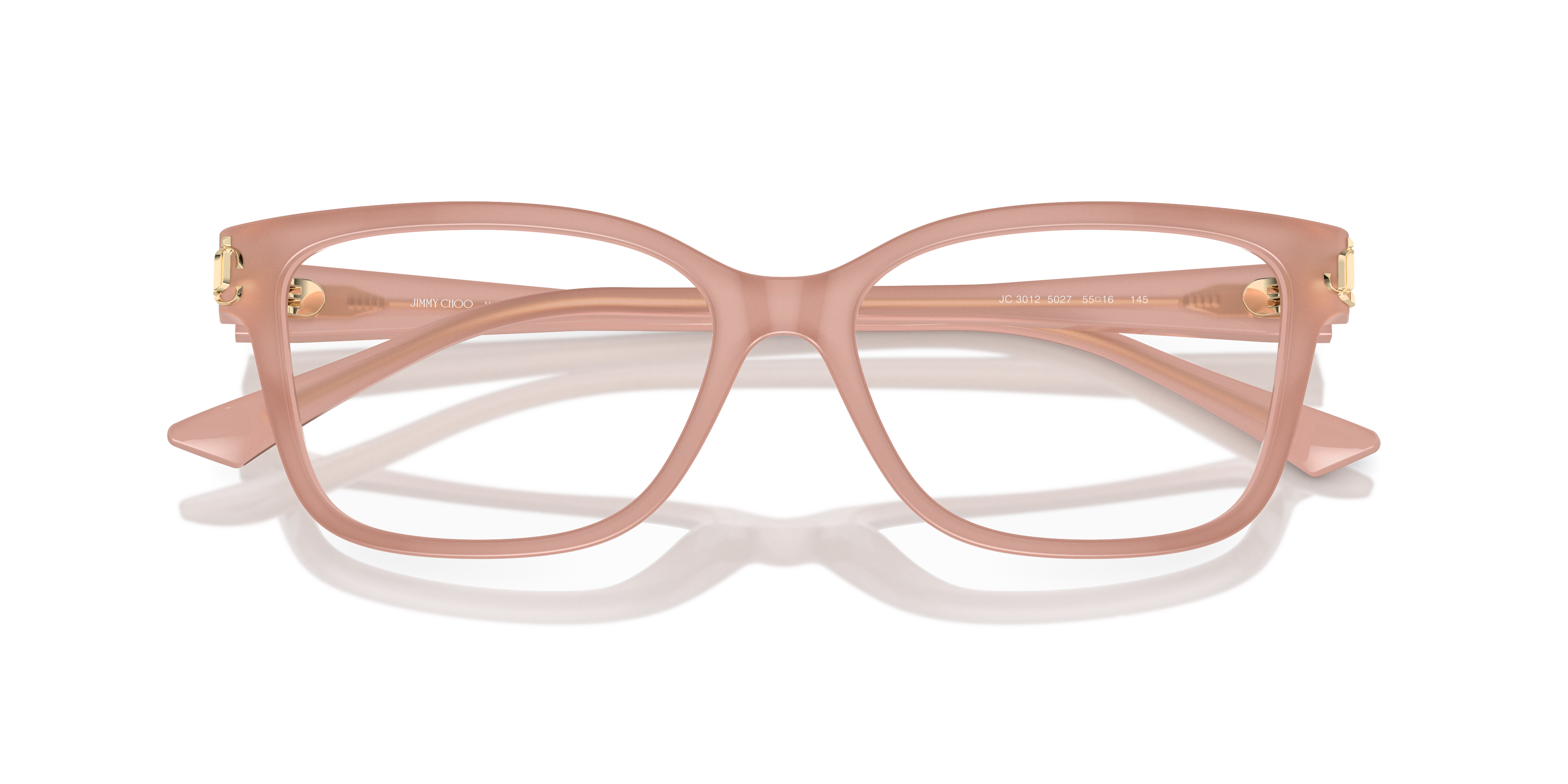 JIMMY CHOO JC3012 5027 55