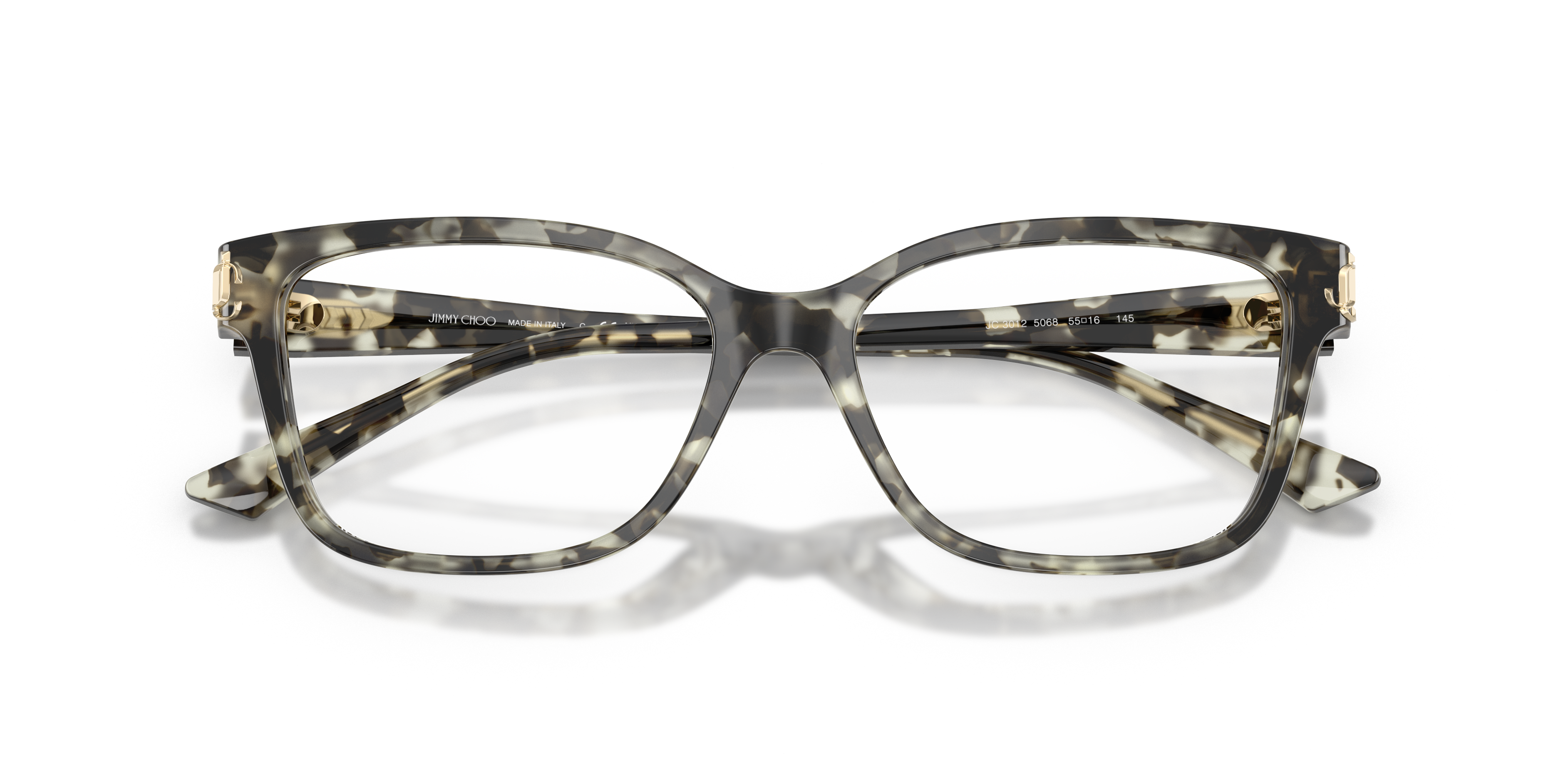 JIMMY CHOO JC3012 5068 55