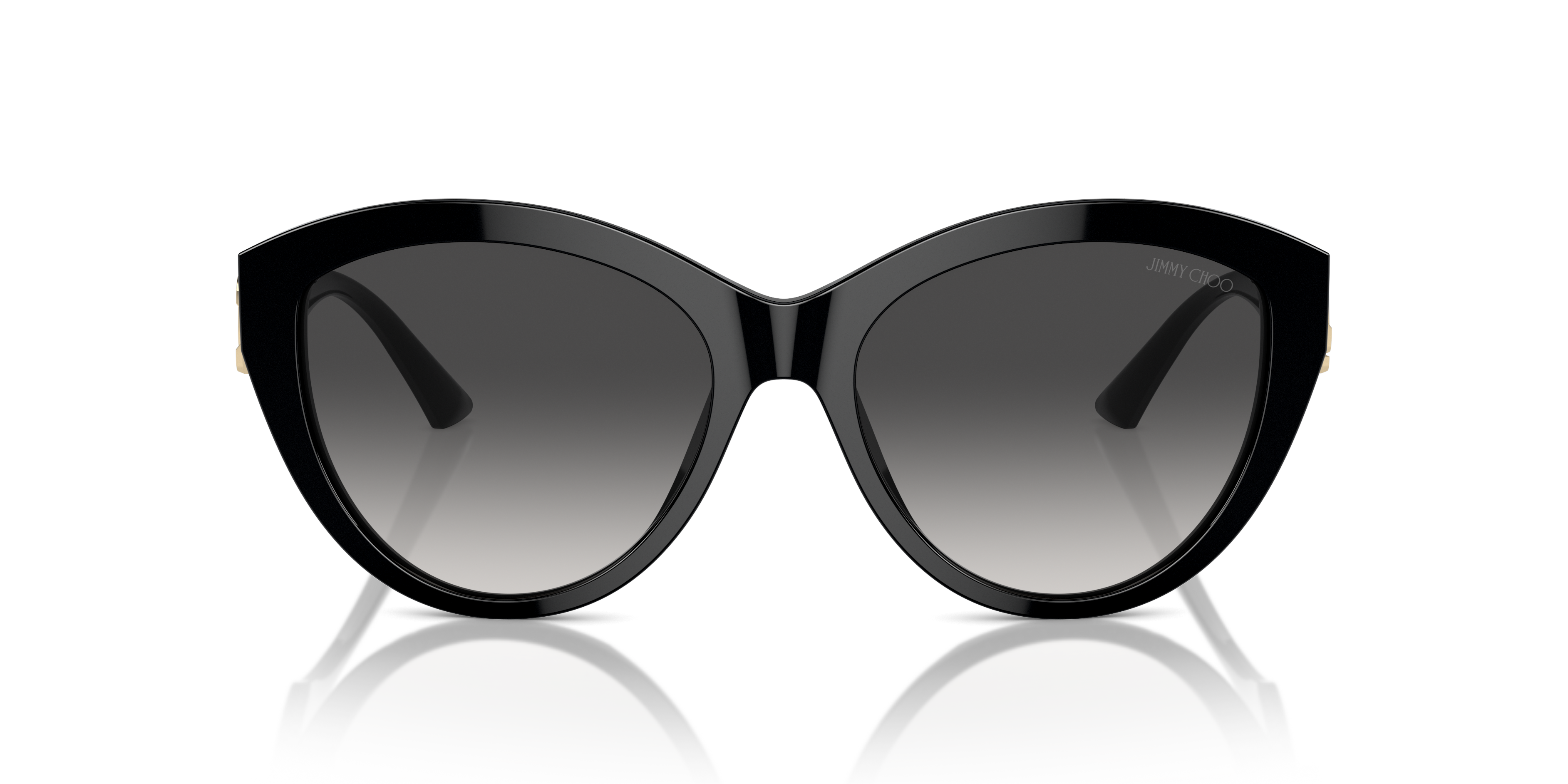 JIMMY CHOO JC5007 50008G 55