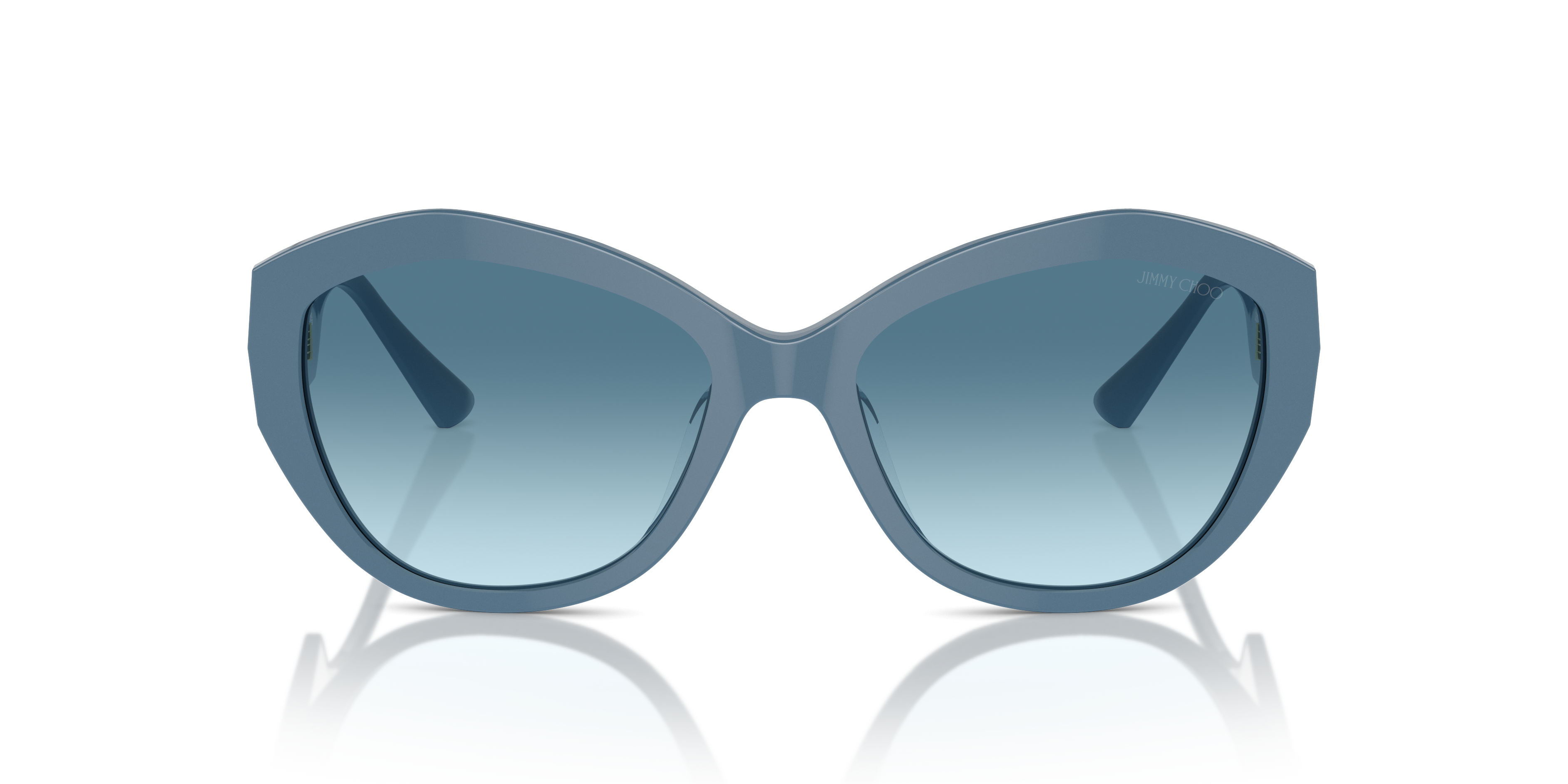 JIMMY CHOO JC5013U 502019 55