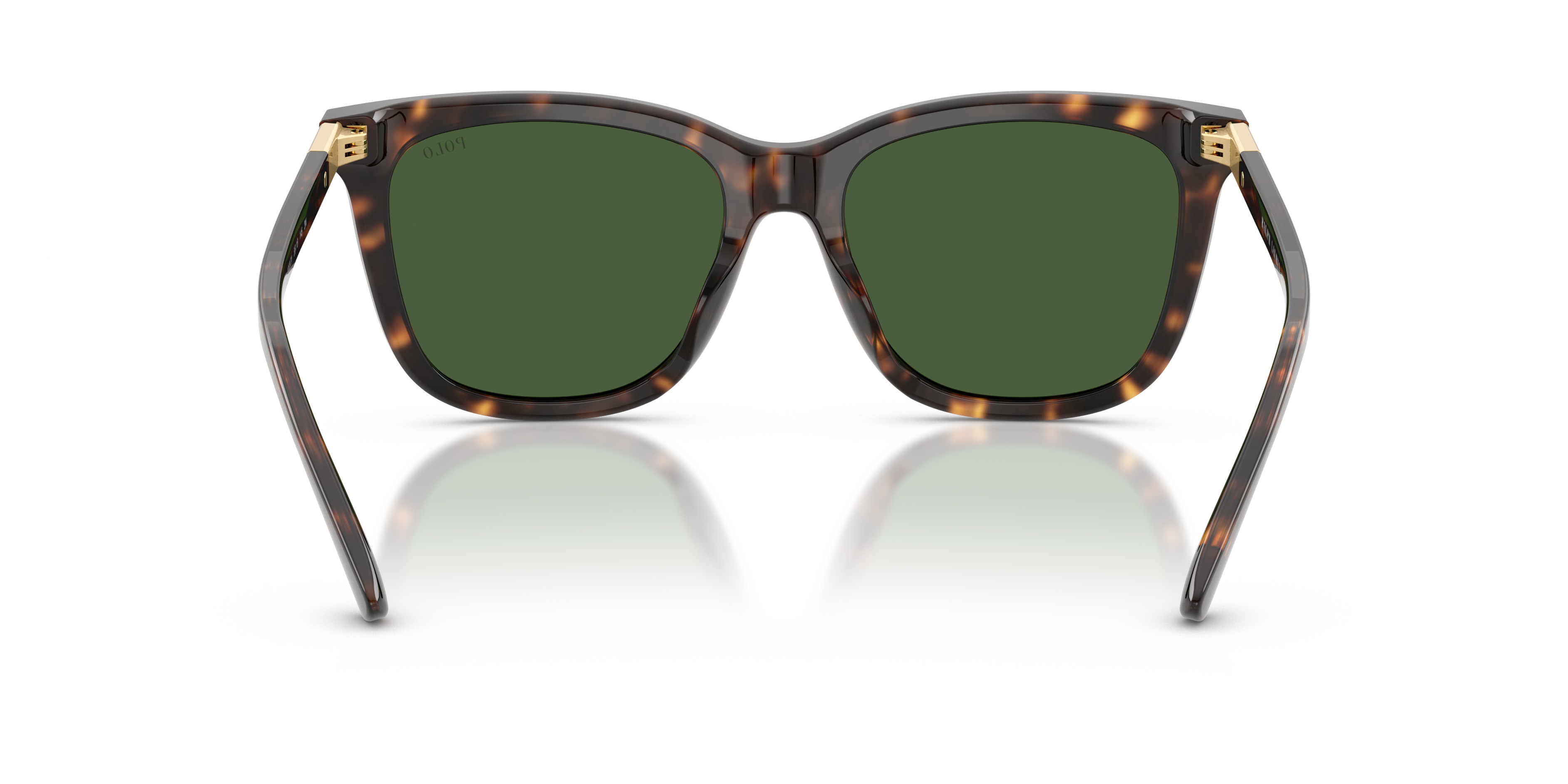 POLO PH4201U 500371 55