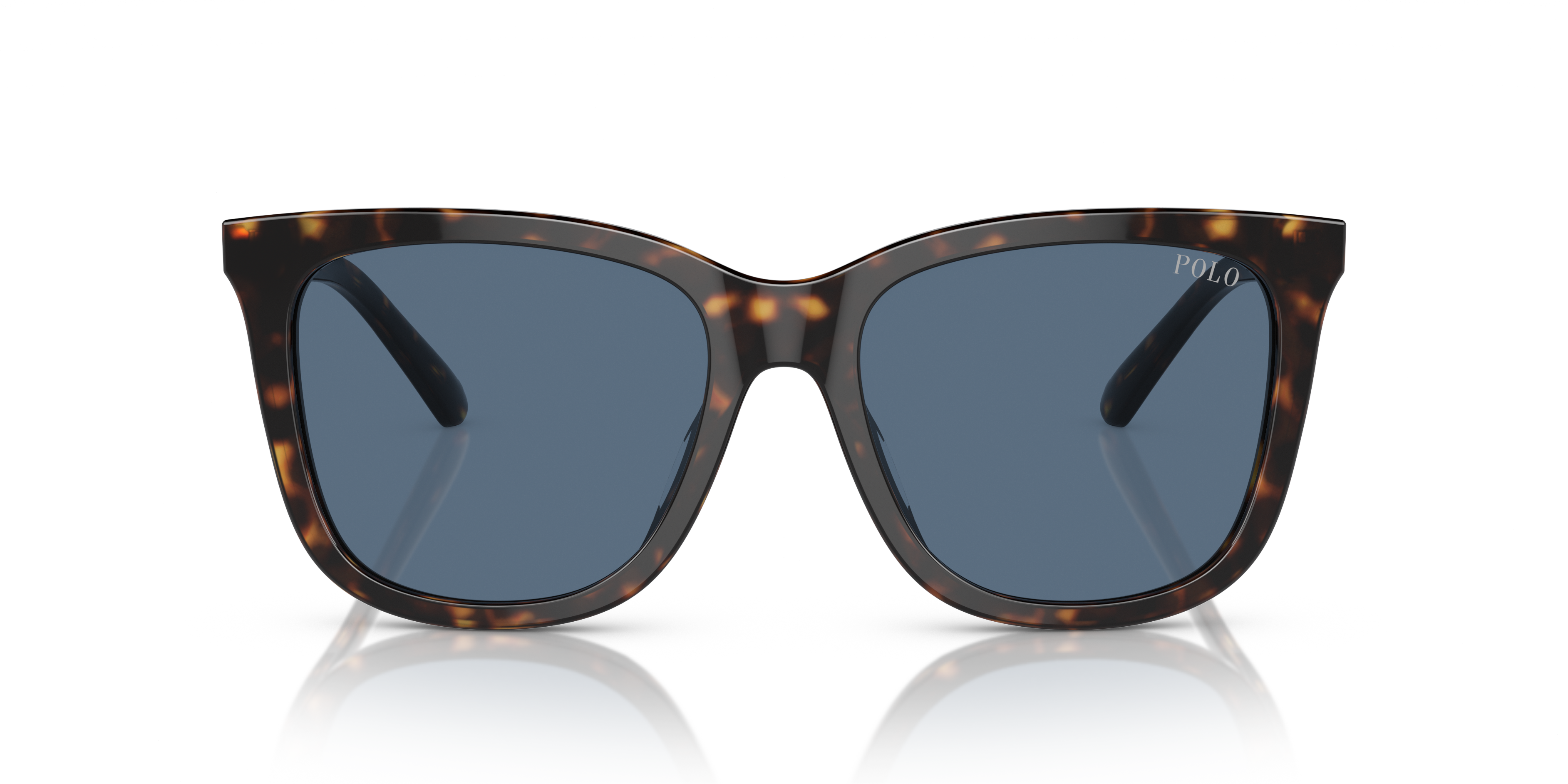 POLO PH4201U 500380 55