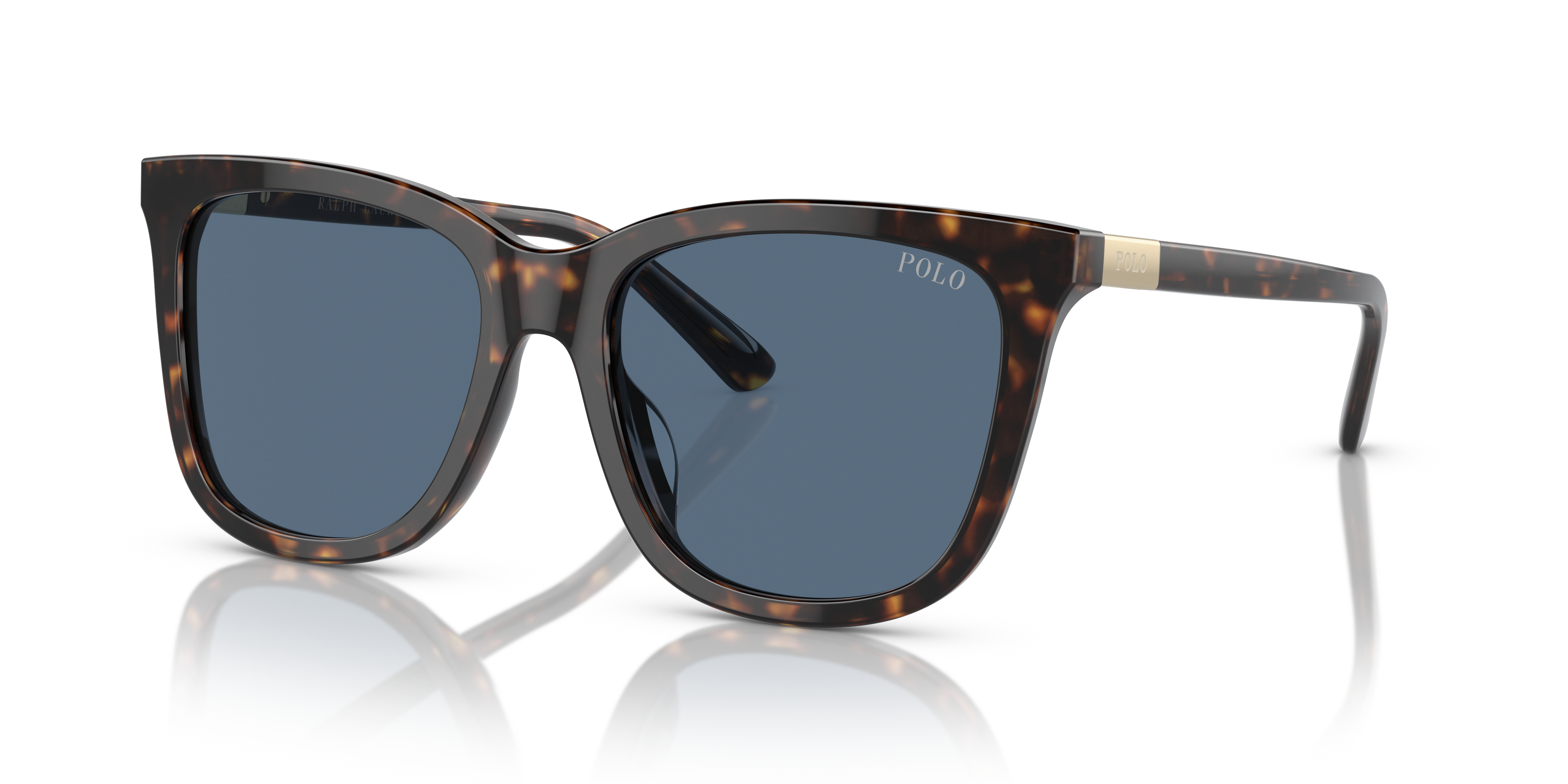 POLO PH4201U 500380 55