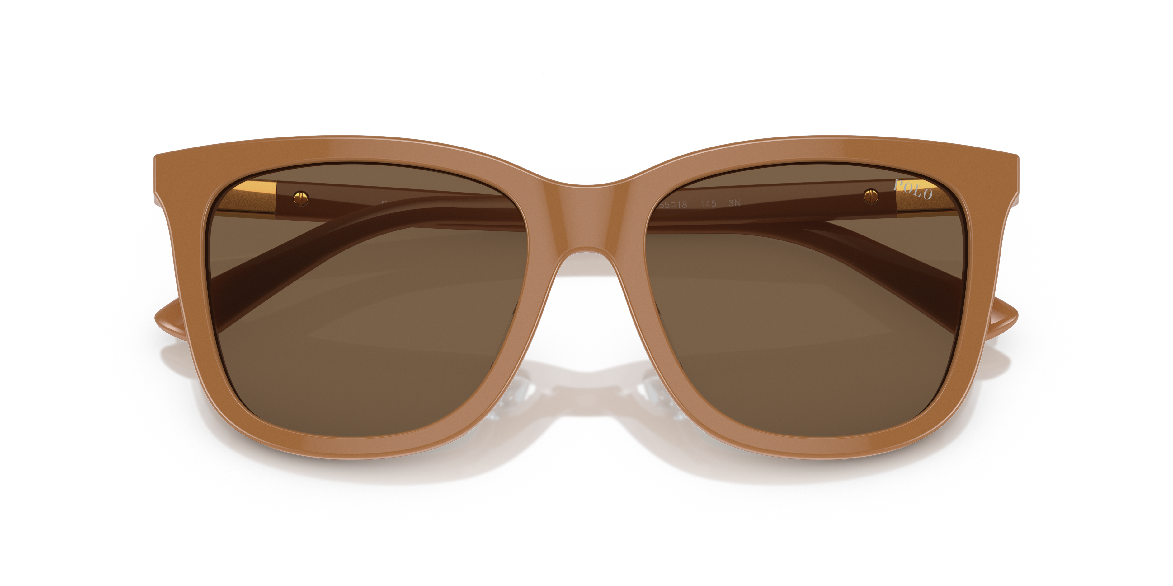 POLO PH4201U 619673 55