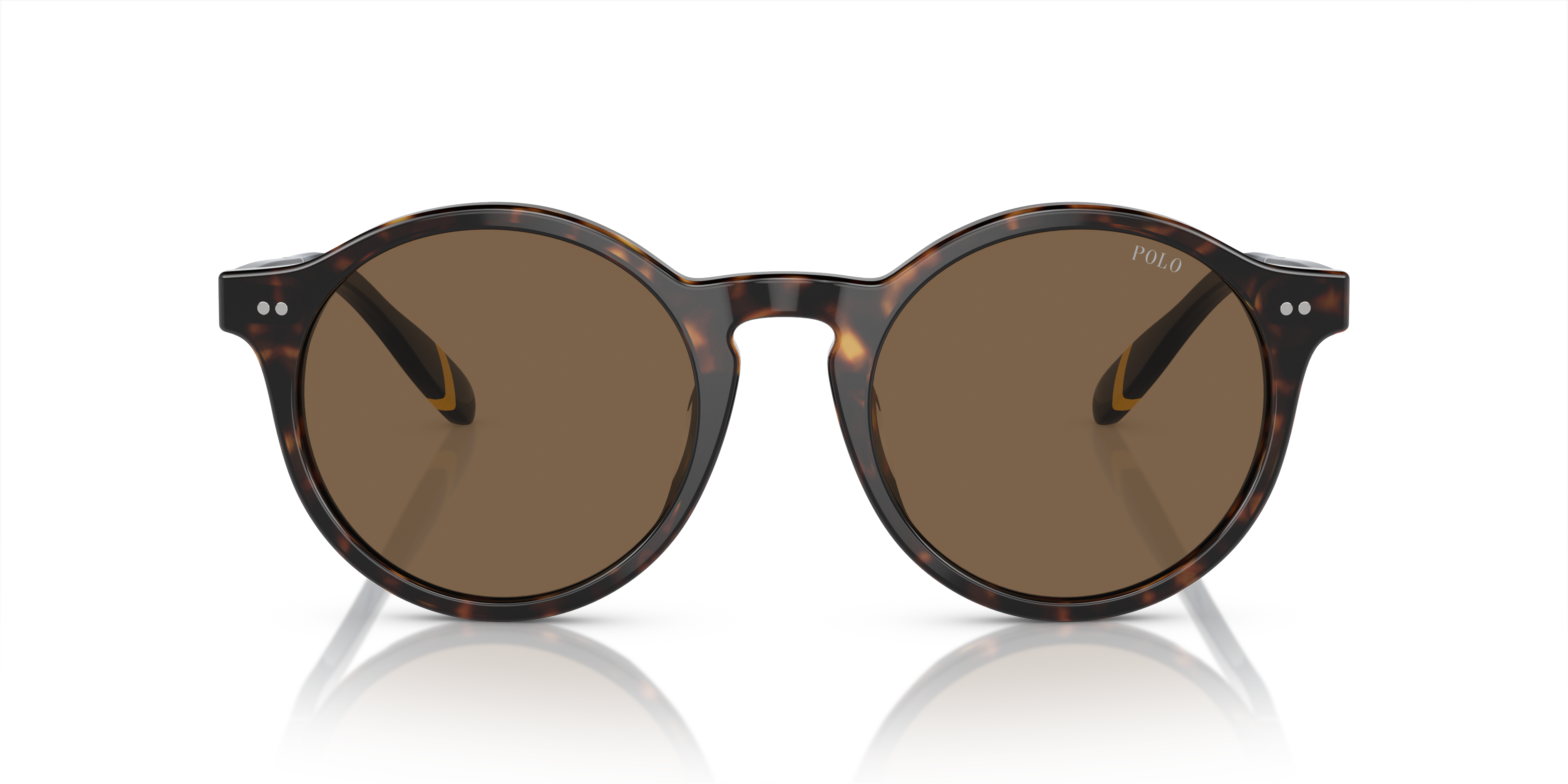 POLO PH4204U 500373 53