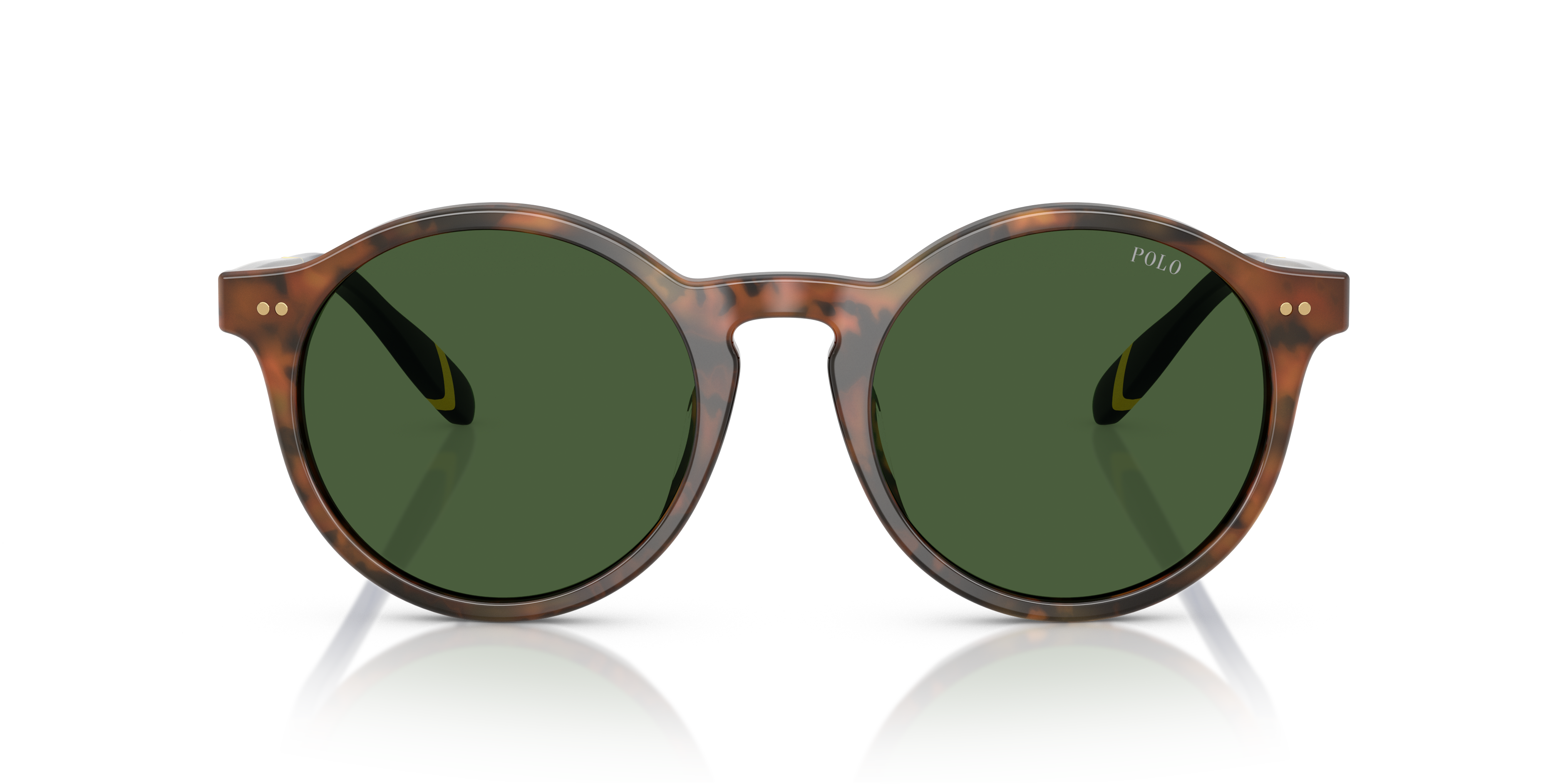 POLO PH4204U 562571 53