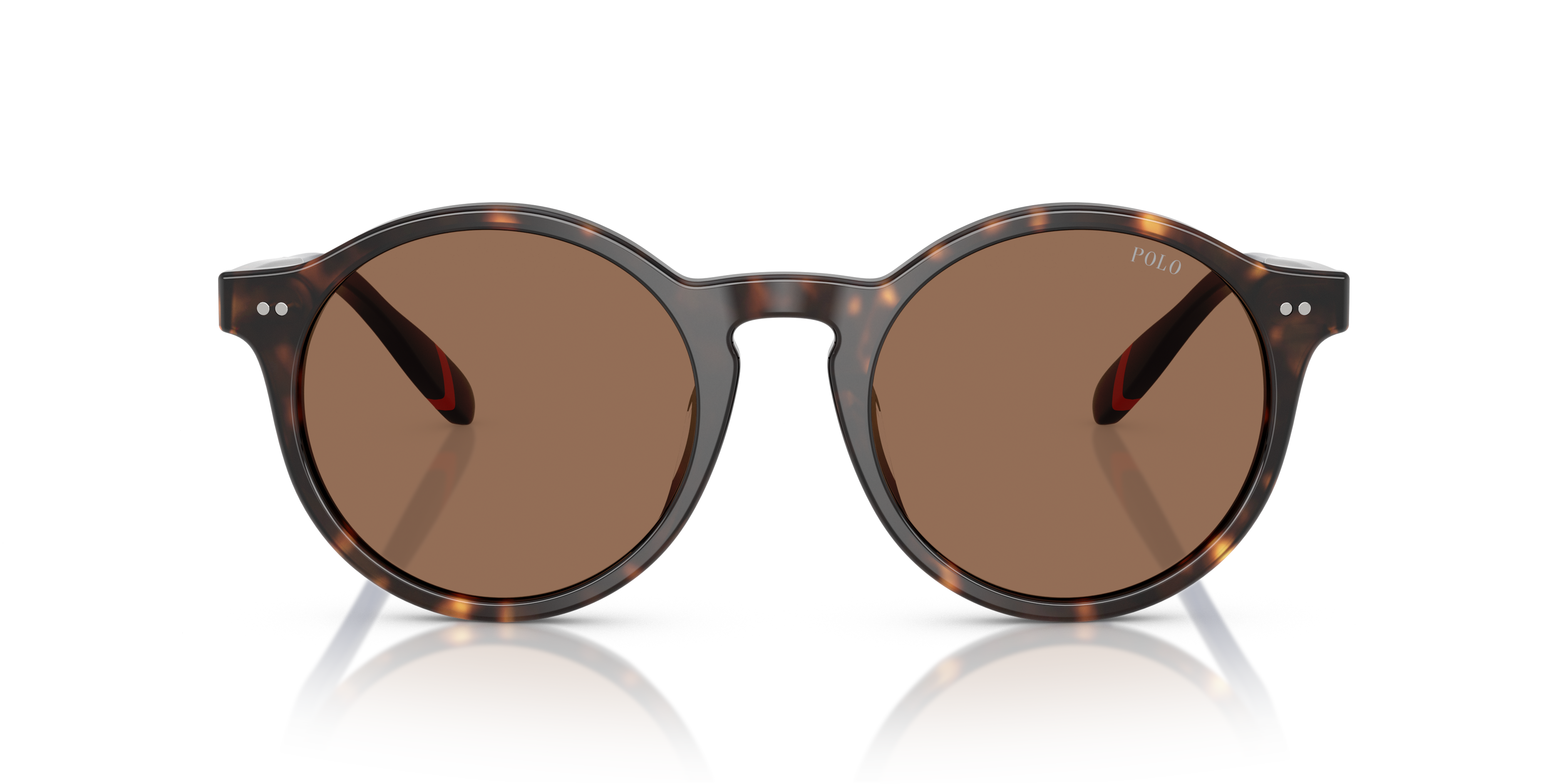 POLO PH4204U 567373 53