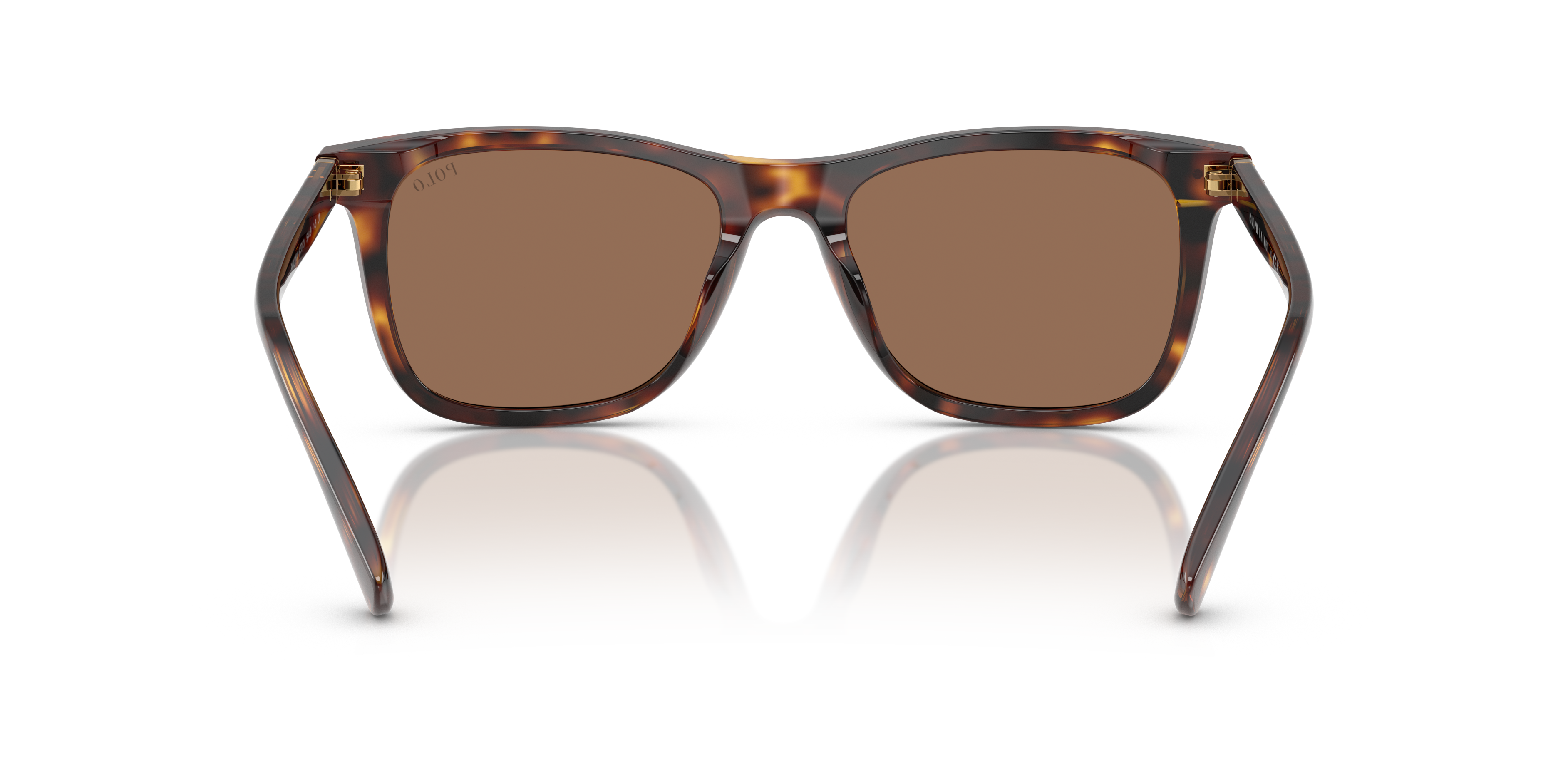 POLO PH4220U 613773 55