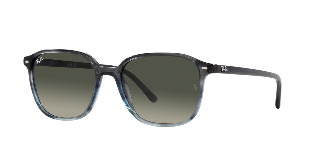 RAY-BAN RB2193 LEONARD 138171 53