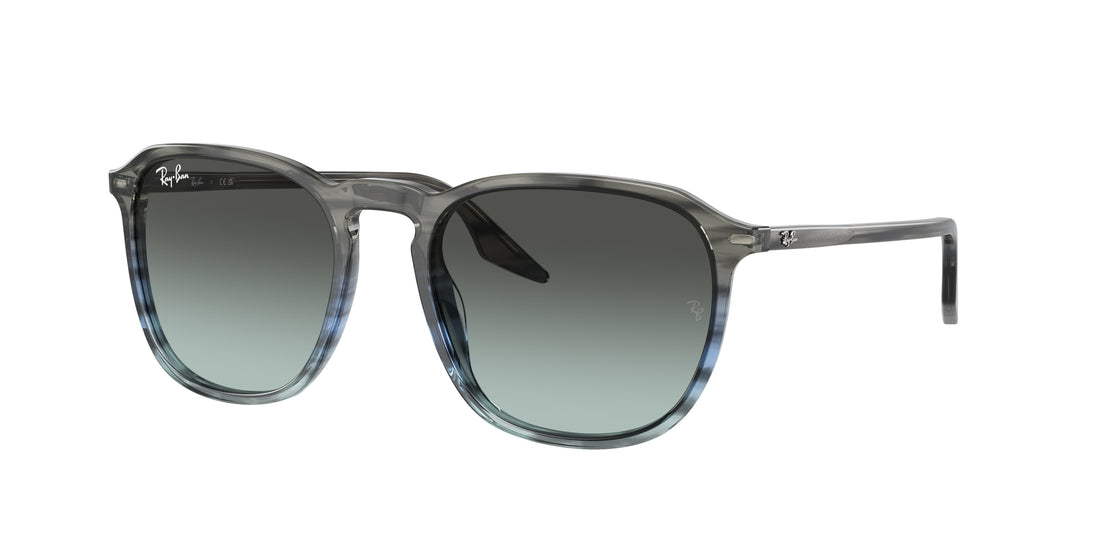 RAY-BAN RB2203 1391GK 52