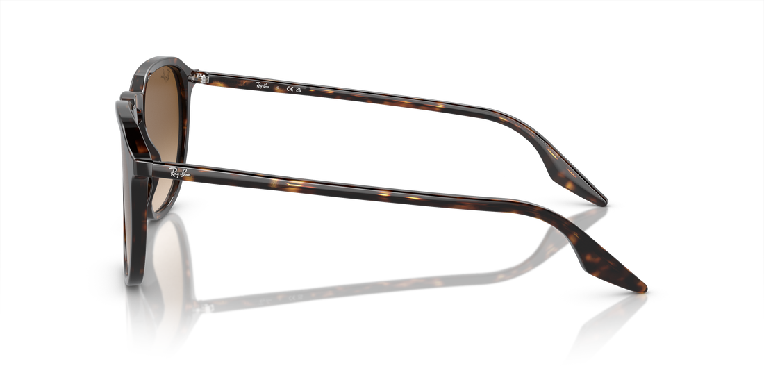 RAY-BAN RB2203 902/51 52 - 17