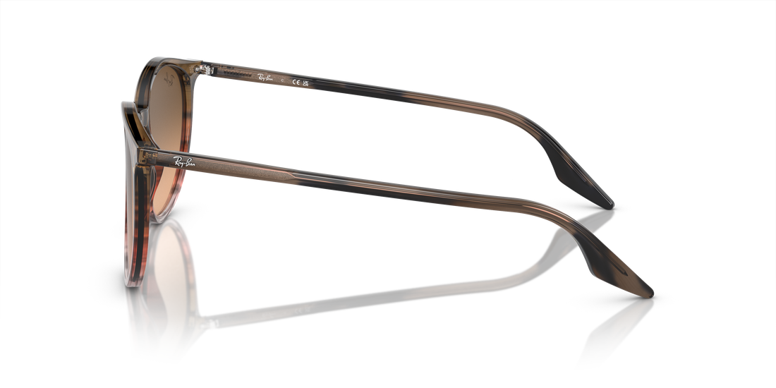 RAY-BAN RB2204 13953B 54