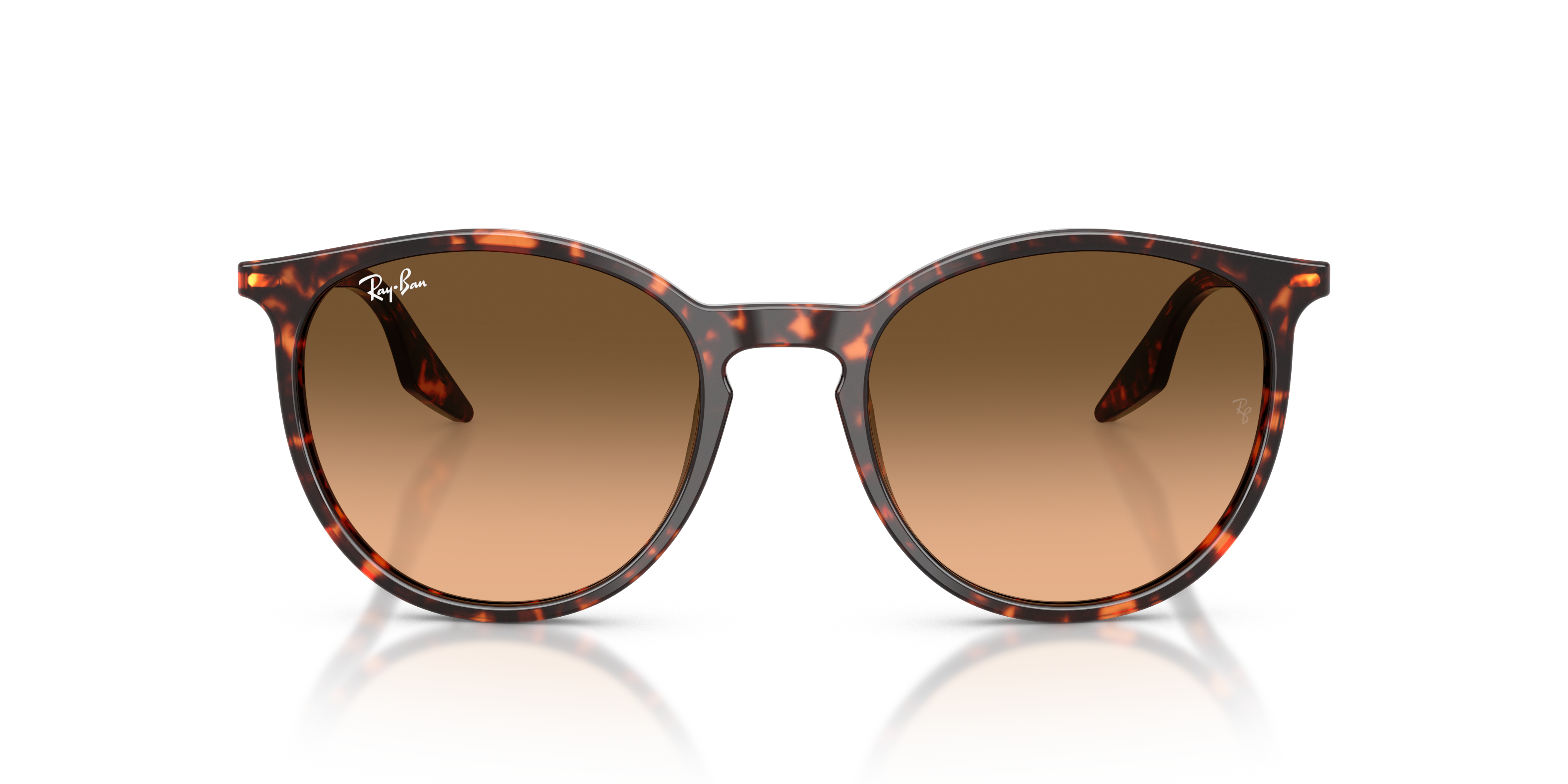 RAY-BAN RB2204 14293B 51