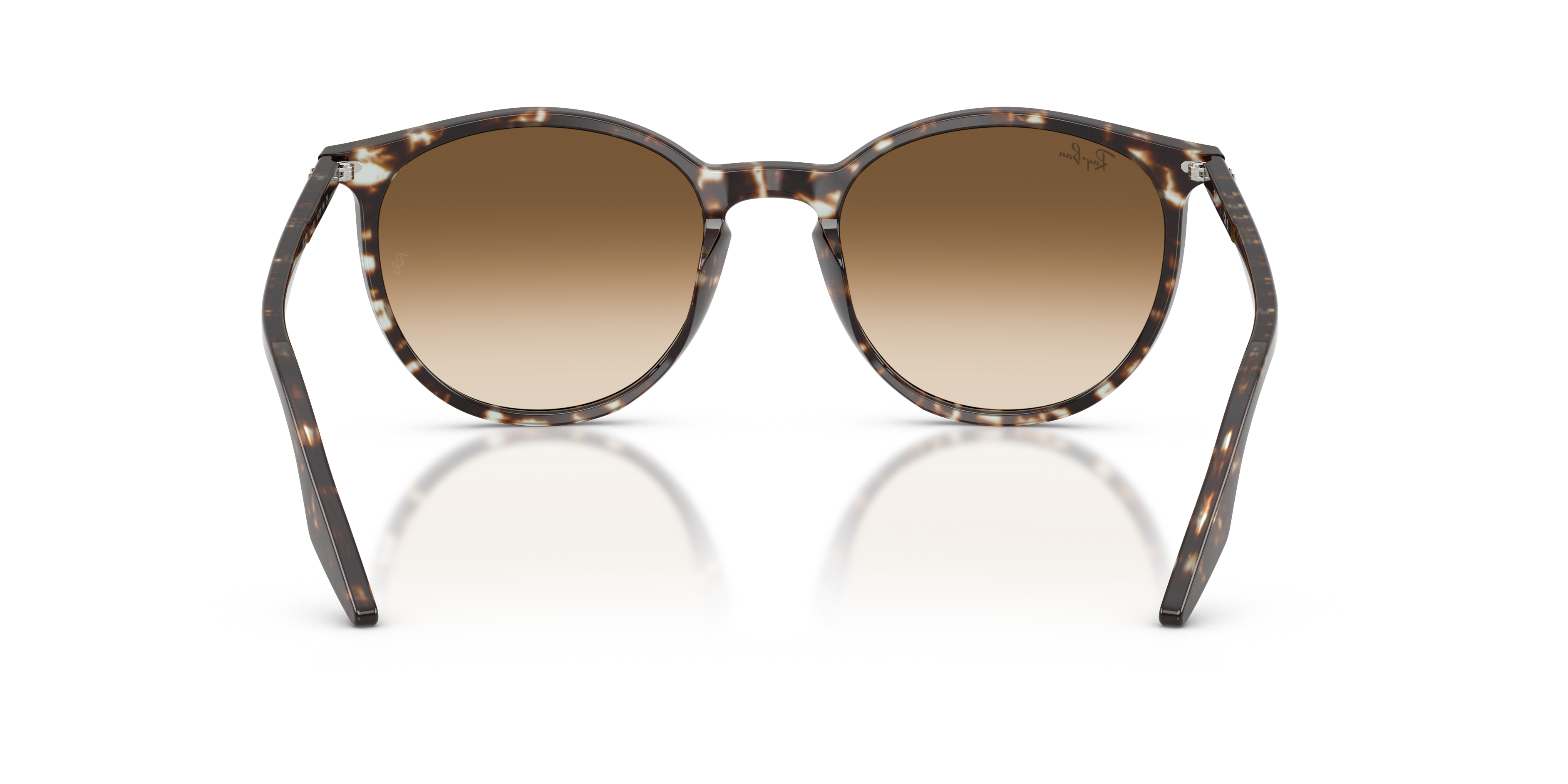 RAY-BAN RB2204 143151 54