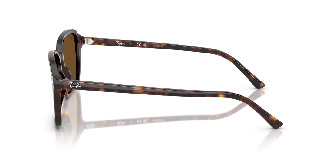 RAY-BAN RB2231 RAIMOND 902/57 56