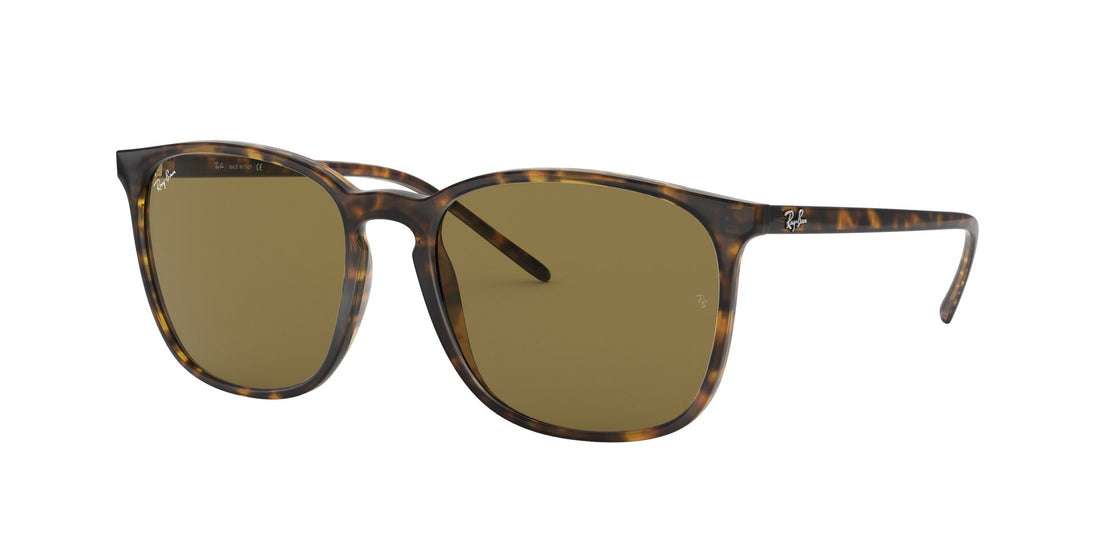 RAY-BAN RB4387 710/73 56 - 4