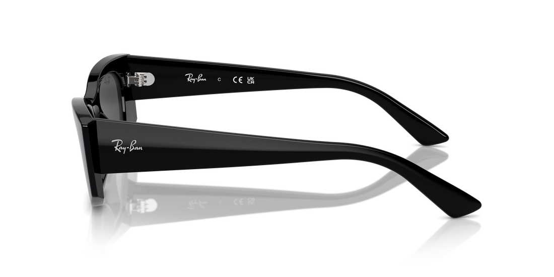 RAY-BAN RB4427 KAT 667787 49