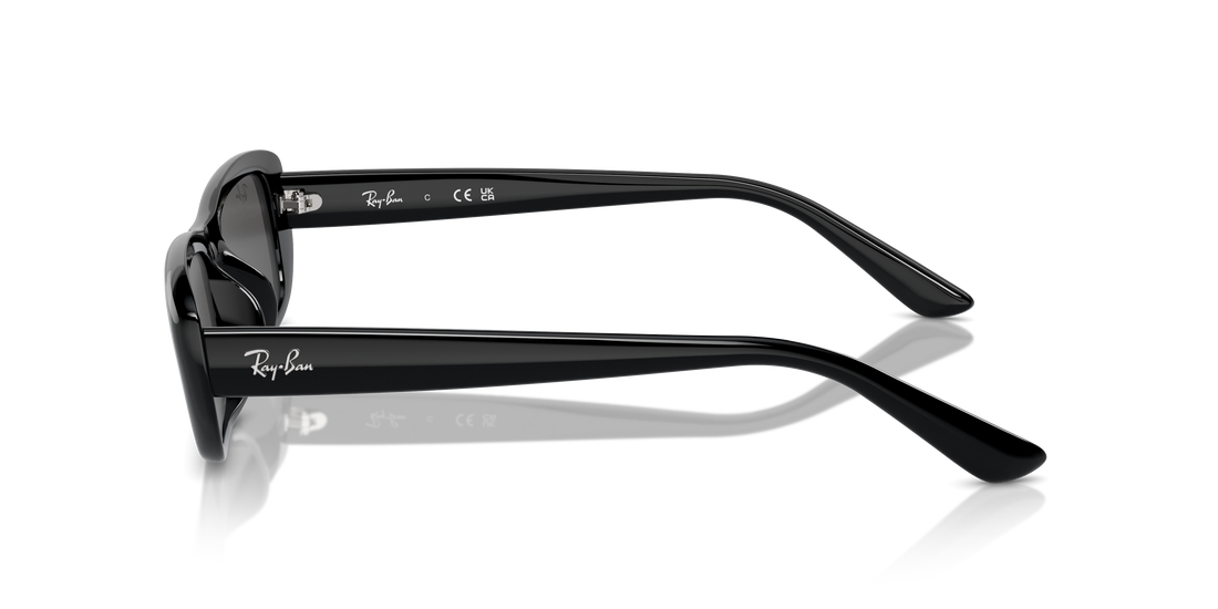 RAY-BAN RB4436D 667787 55