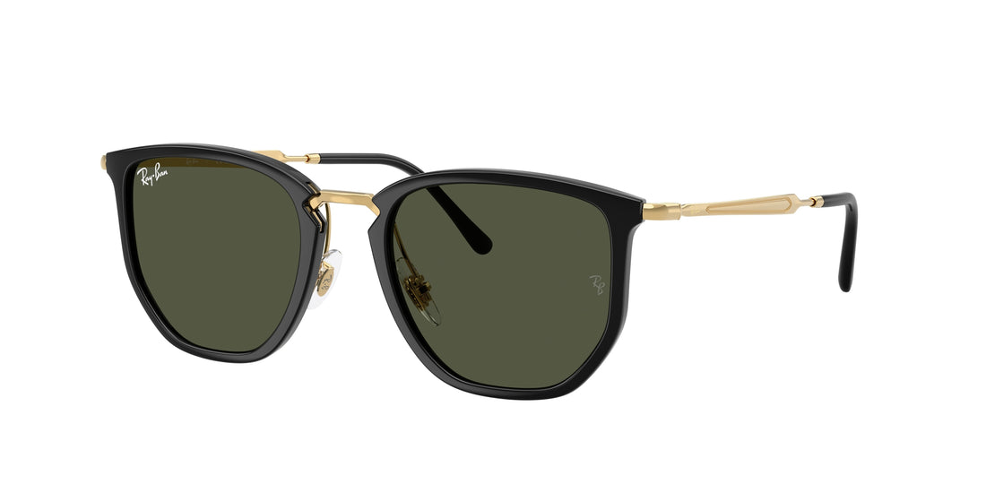 RAY-BAN RB4451 630631 53