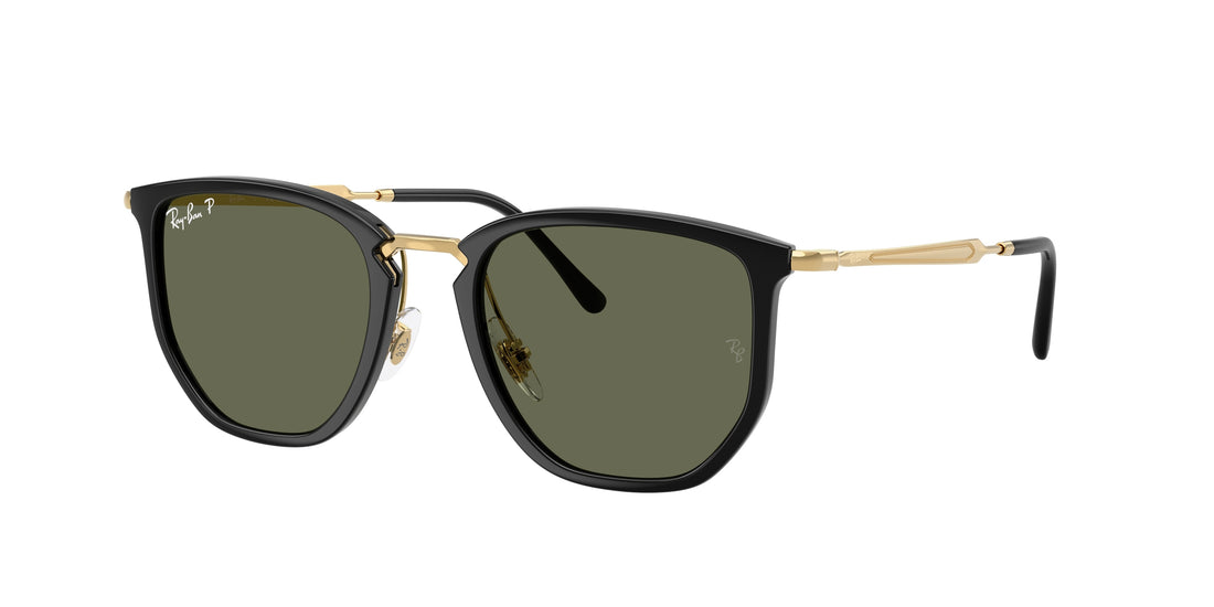 RAY-BAN RB4451 630658 50