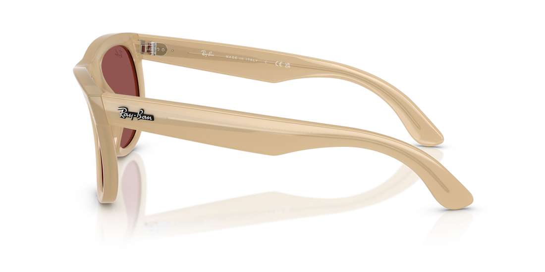 RAY-BAN RBR0502S WAYFARER REVERSE 678069 50