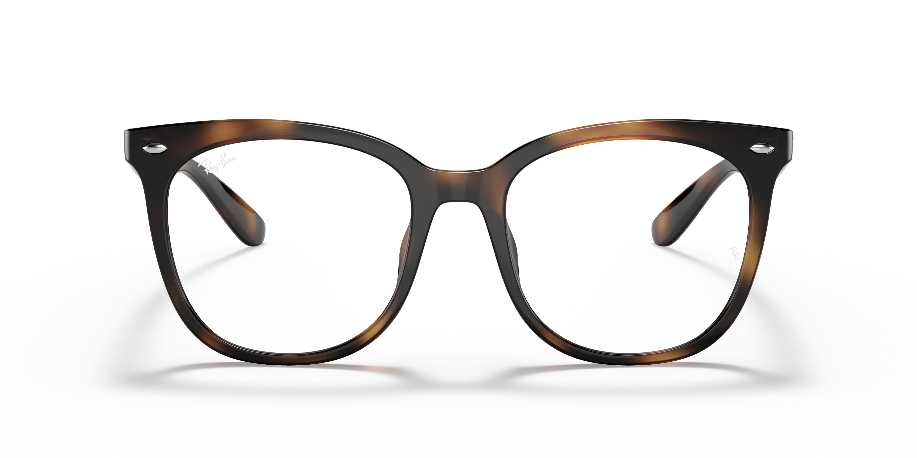RAY-BAN RX4379VD 2012 53 - 23