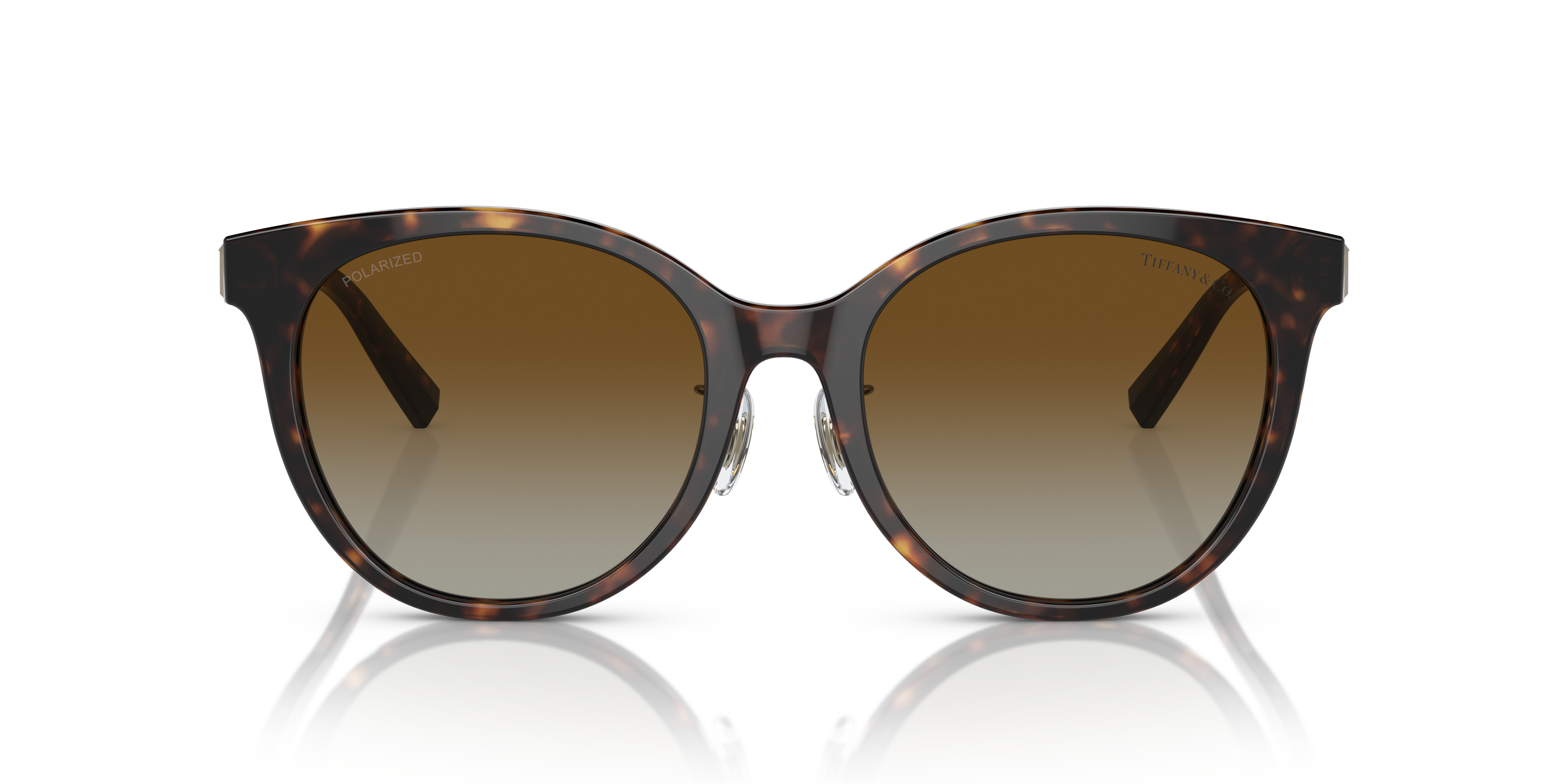 TIFFANY TF4209D 8015T5 54