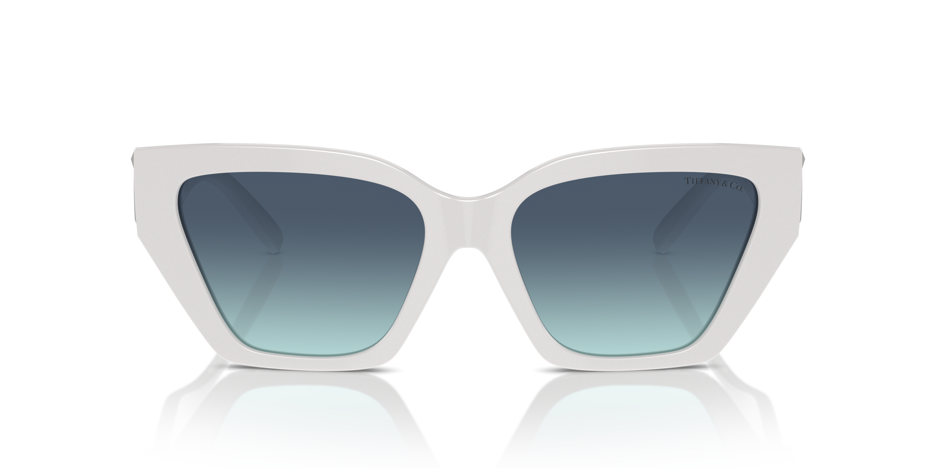 TIFFANY TF4218 83929S 55