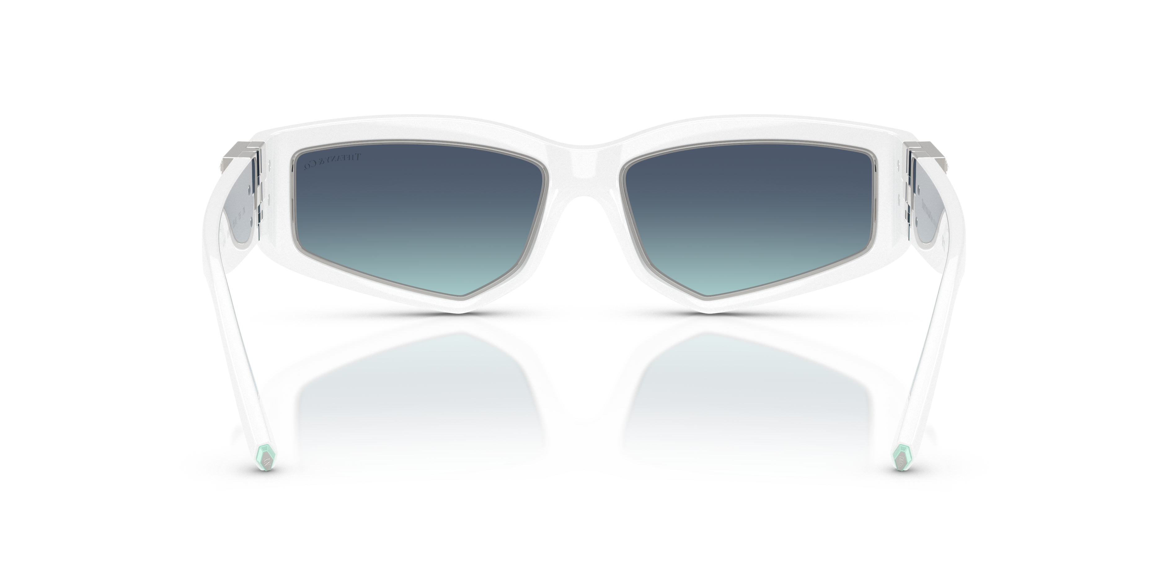 TIFFANY TF4234U 83929S 55