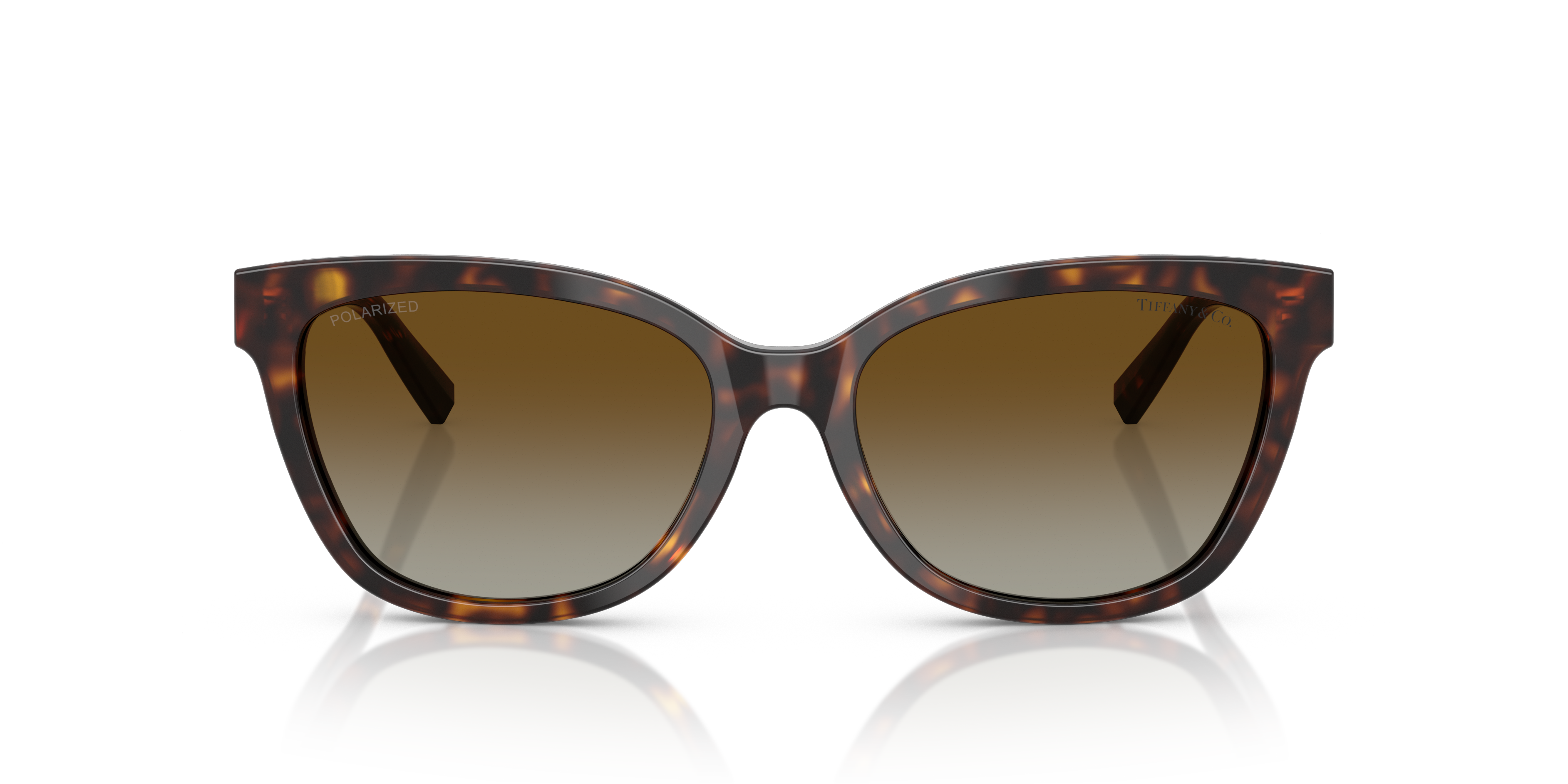 TIFFANY TF4237B 8015T5 55