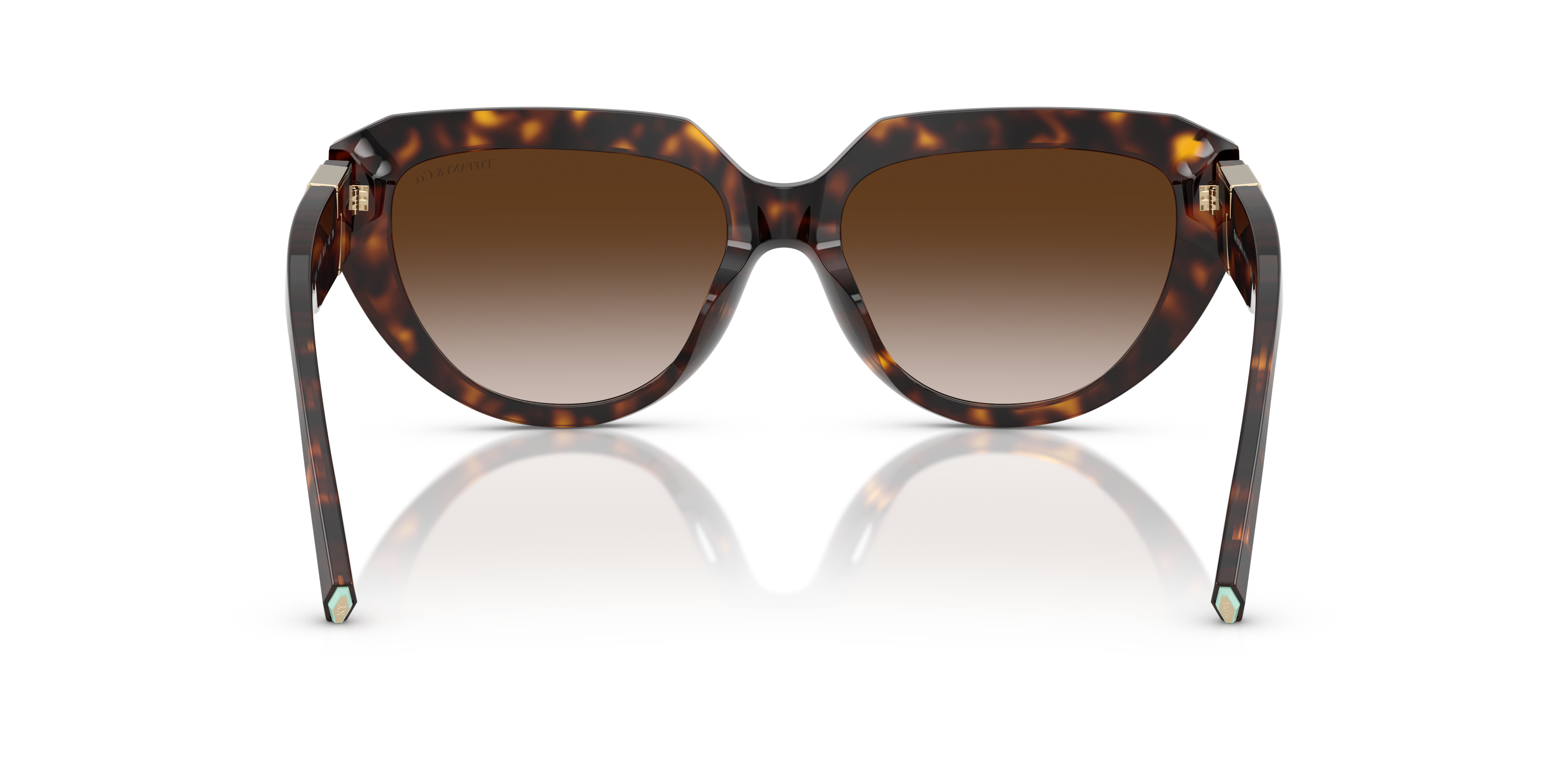 TIFFANY TF4238U 80153B 55