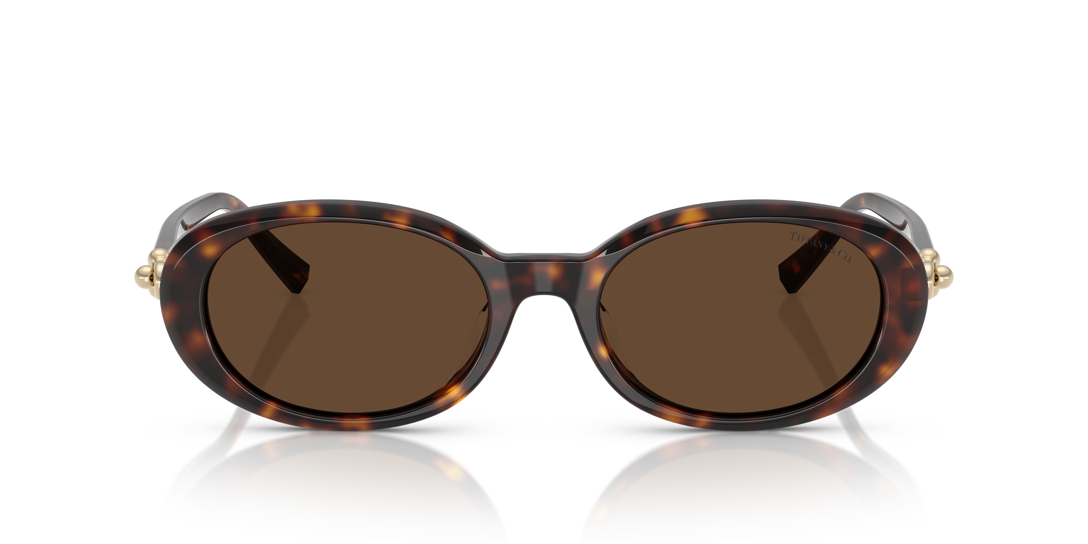 TIFFANY TF4242D 80153G 54