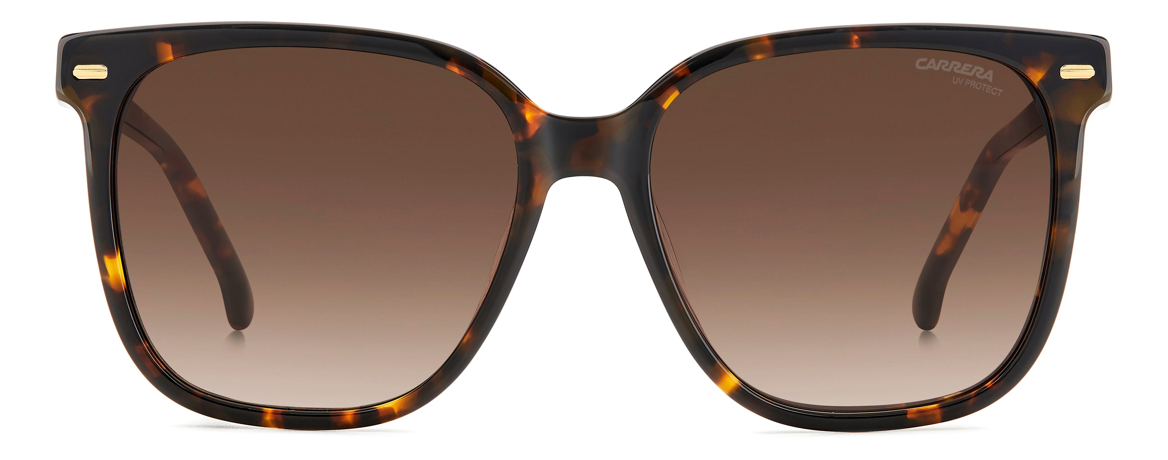 CARRERA 3002/S 086 HA 55