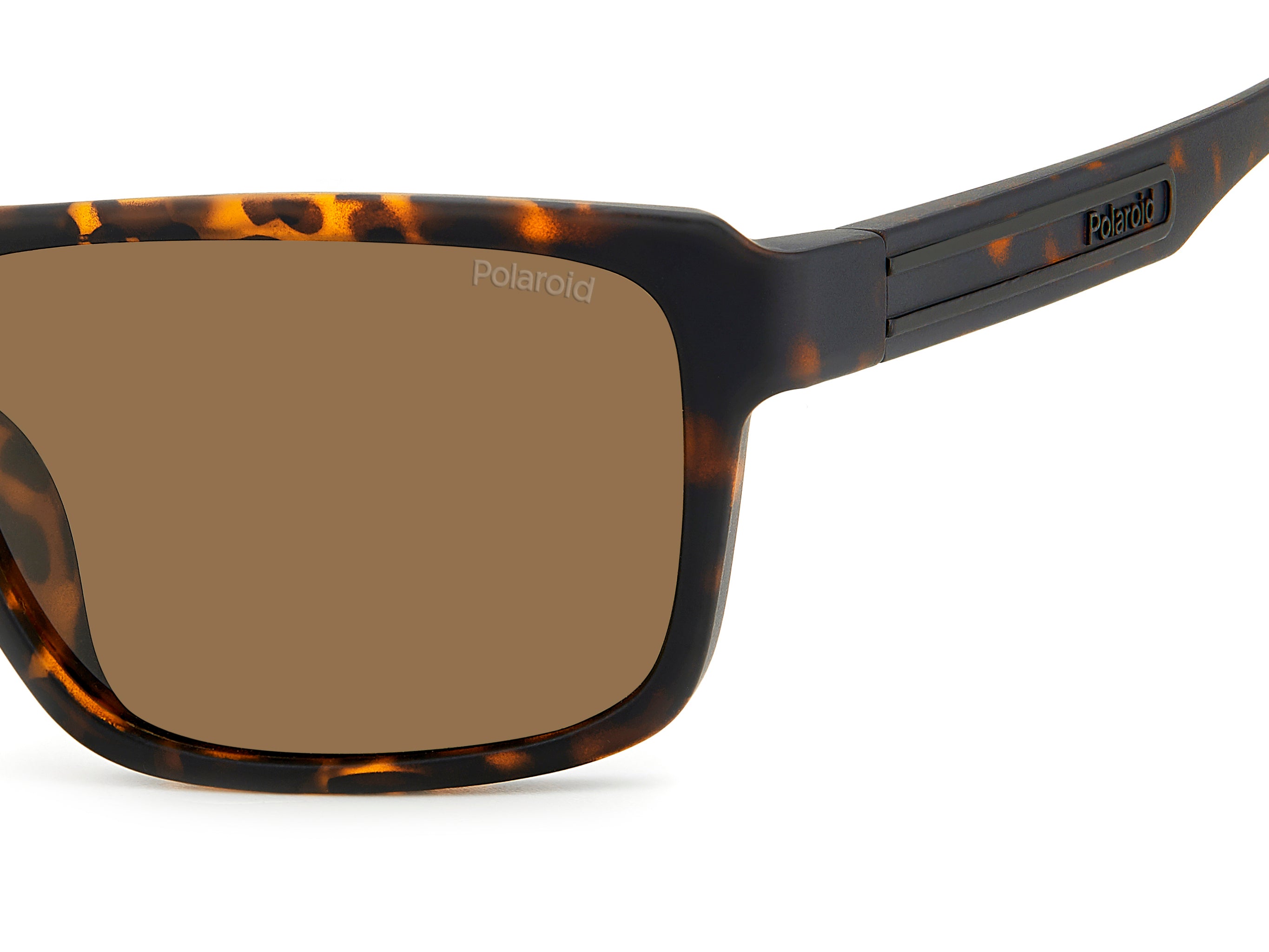 POLAROID PLD 2158/S HGC SP 58